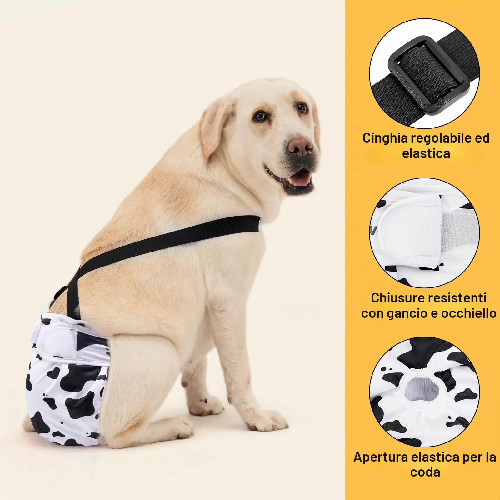 Avont 3 Pezzi Pannolini Cane Femmina Regolabili con Cinghie, Mutandine Cane Femmina Calore Altamente Riutilizzabili -M Verde/Bianco/Viola - immagine 3