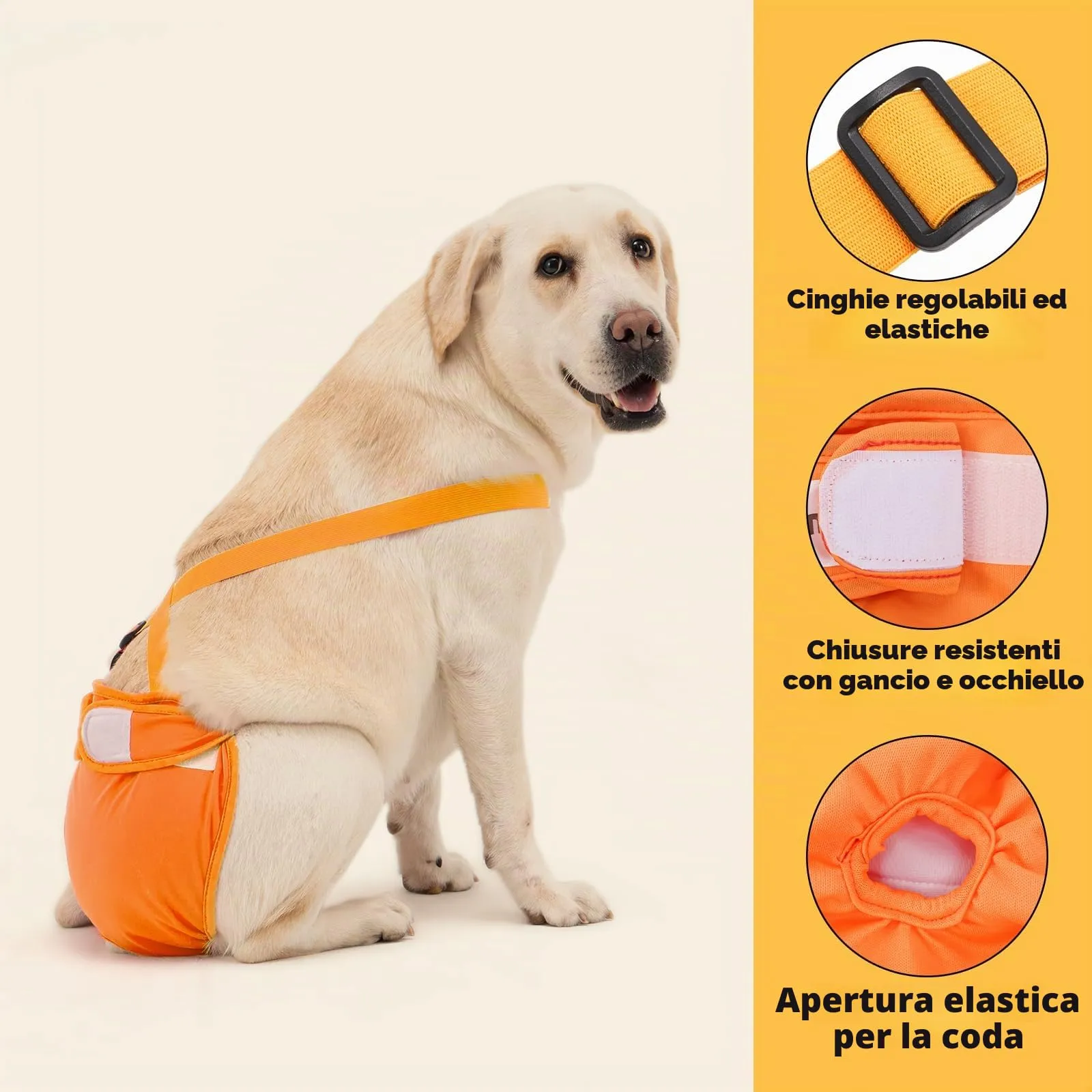 Avont 3 Pezzi Pannolini Cane Femmina Regolabili con Cinghie, Mutandine Cane Femmina Calore Altamente Riutilizzabili -L Blu/Arancione/Grigio - immagine 3