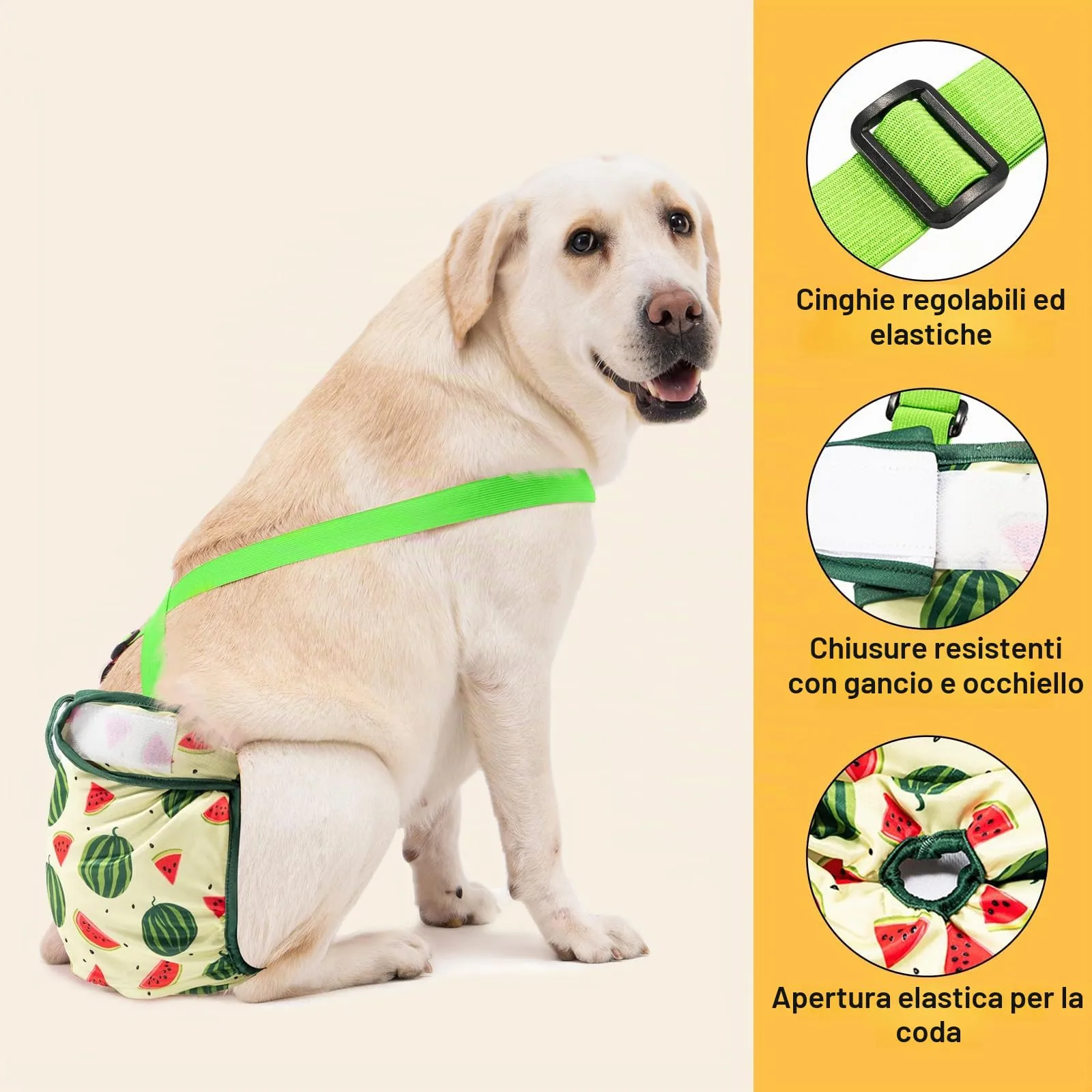 Avont 3 Pezzi Pannolini Cane Femmina con Cinghie non Cadessero, Mutandine Cane Femmina Calore Altamente e Incontinenza Riutilizzabili -M Frutta Verde/Giallo/Rosa - immagine 3