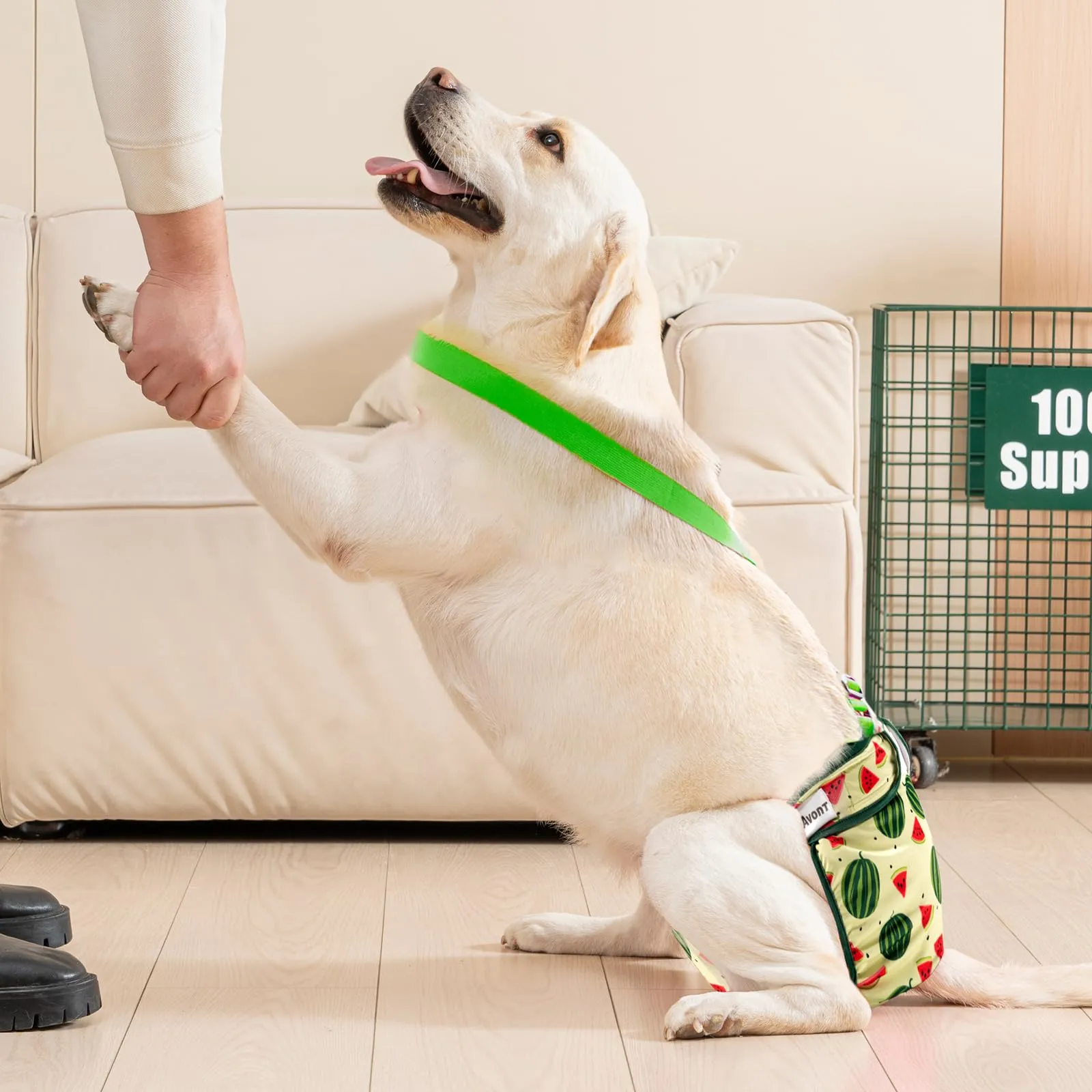 Avont 3 Pezzi Pannolini Cane Femmina con Cinghie non Cadessero, Mutandine Cane Femmina Calore Altamente e Incontinenza Riutilizzabili -S Frutta Verde/Giallo/Rosa - immagine 7