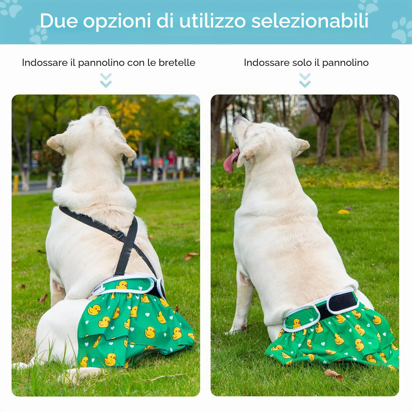 Avont 3 Pezzi Pannolini Cane Femmina Riutilizzabili con Cinghie (Pannolini che non cadere), Mutandine Cane Femmina Calore Altamente -XL Bianco/Verde/Azzurro - immagine 2