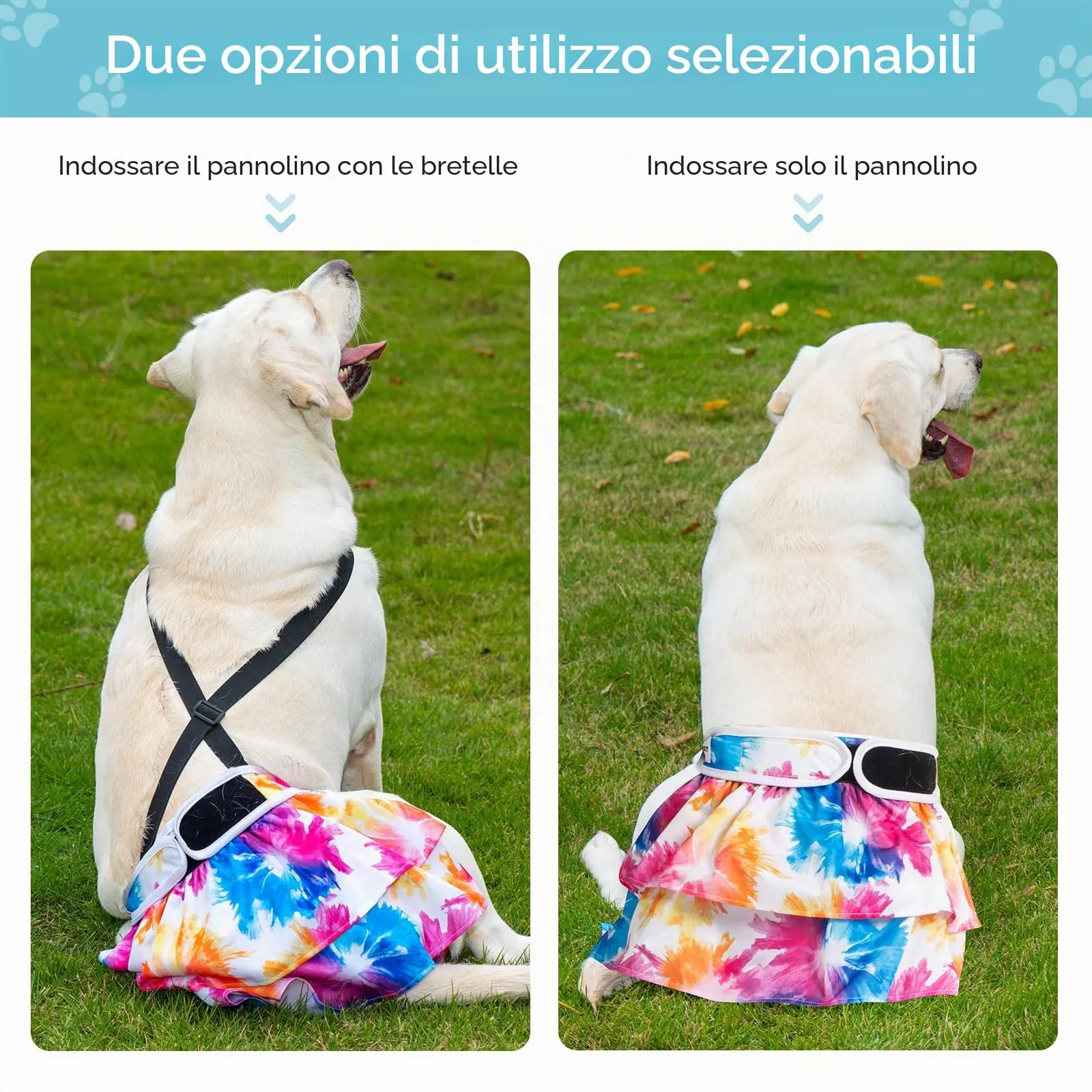 Avont 3 Pezzi Pannolini Cane Femmina Riutilizzabili con Cinghie (Pannolini che non cadere), Mutandine Cane Femmina Calore Altamente -XL Rosa/Blu/Verde - immagine 2