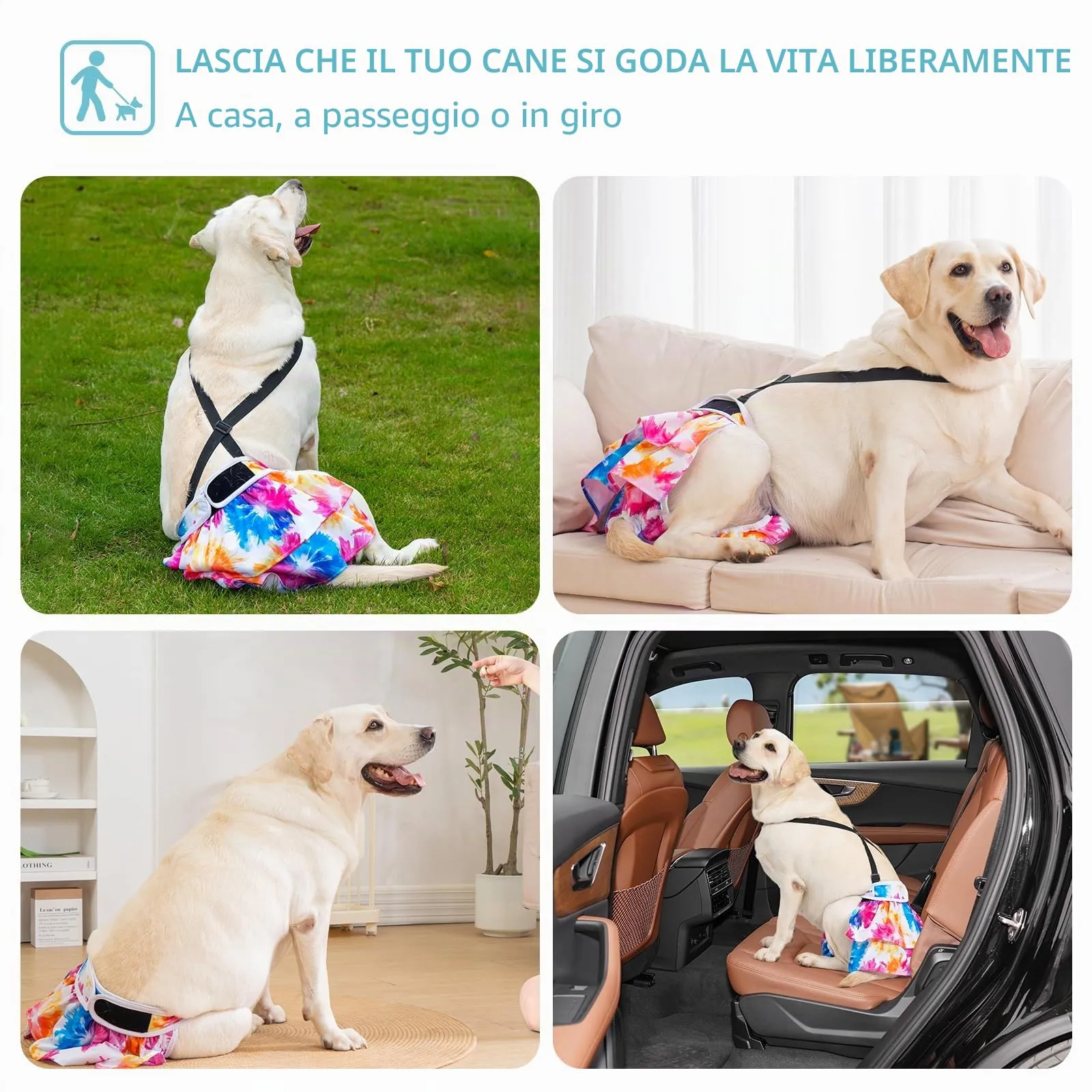 Avont 3 Pezzi Pannolini Cane Femmina Riutilizzabili con Cinghie (Pannolini che non cadere), Mutandine Cane Femmina Calore Altamente -XL Rosa/Blu/Verde - immagine 5