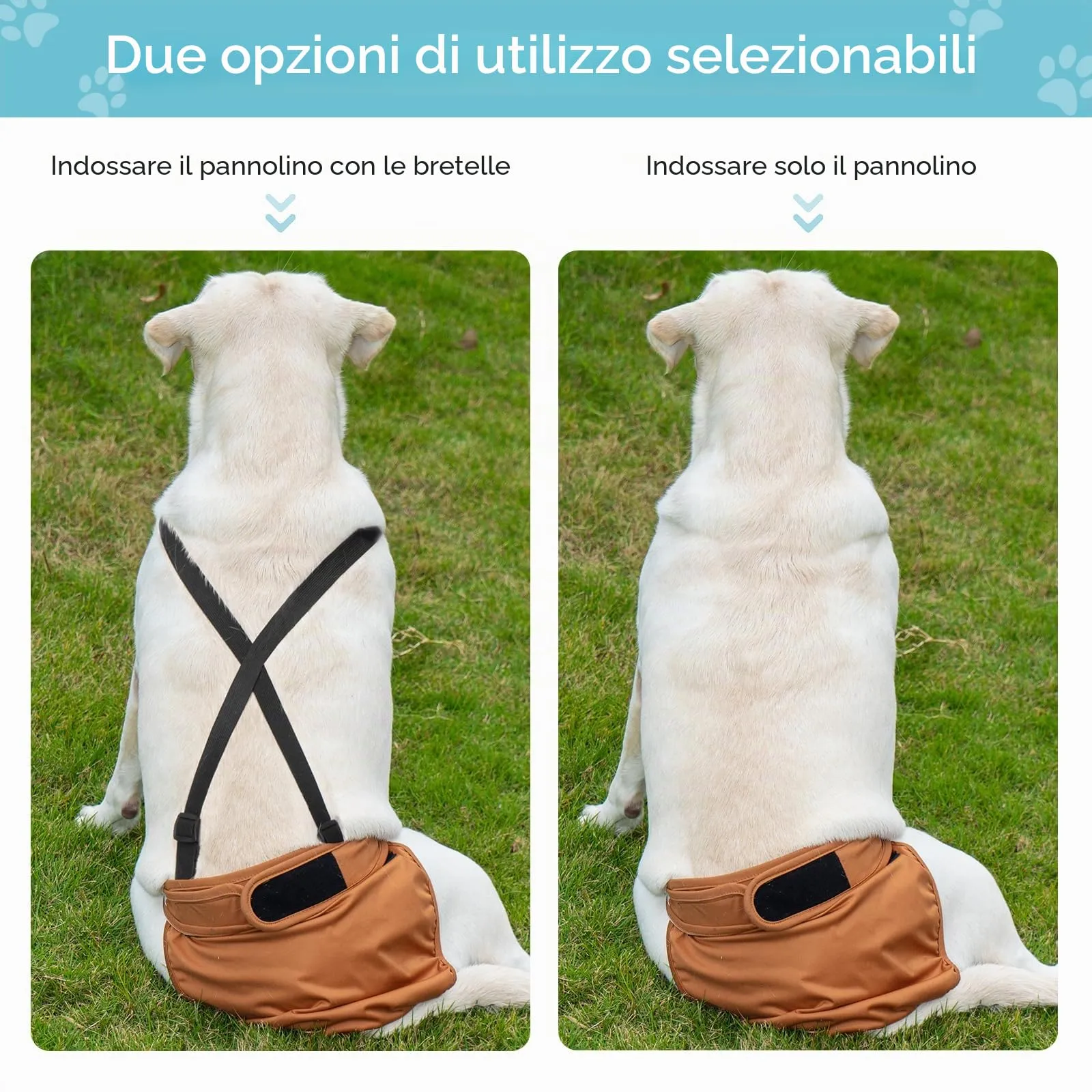 Avont 3 Pezzi Pannolini Cane Femmina Riutilizzabili con Cinghie (Pannolini che non cadere), Mutandine Cane Femmina Calore Altamente -XS Arancione/Grigio/Nero - immagine 2