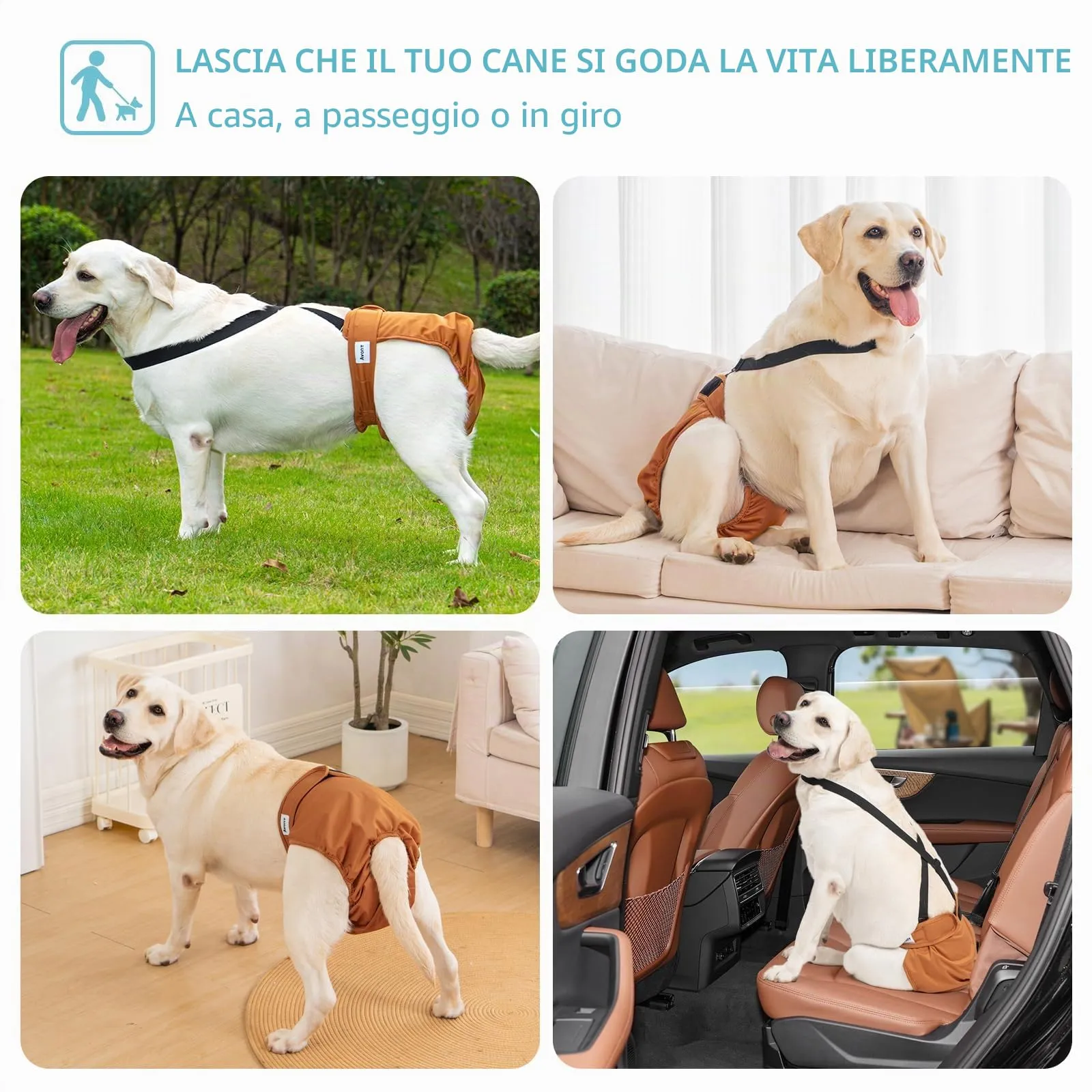 Avont 3 Pezzi Pannolini Cane Femmina Riutilizzabili con Cinghie (Pannolini che non cadere), Mutandine Cane Femmina Calore Altamente -L Arancione/Grigio/Nero - immagine 4