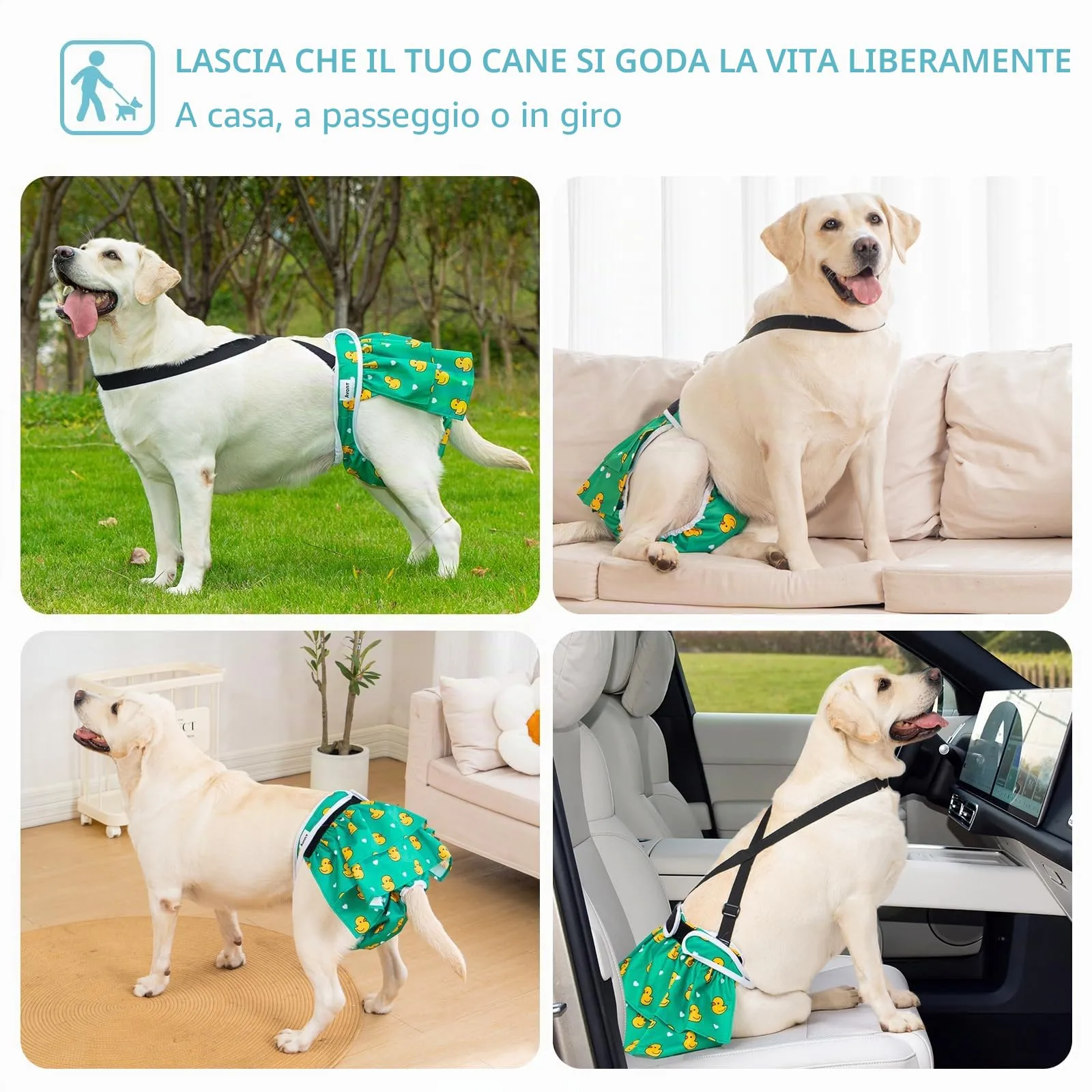 Avont 3 Pezzi Pannolini Cane Femmina Riutilizzabili con Cinghie (Pannolini che non cadere), Mutandine Cane Femmina Calore Altamente -M Bianco/Verde/Azzurro - immagine 4