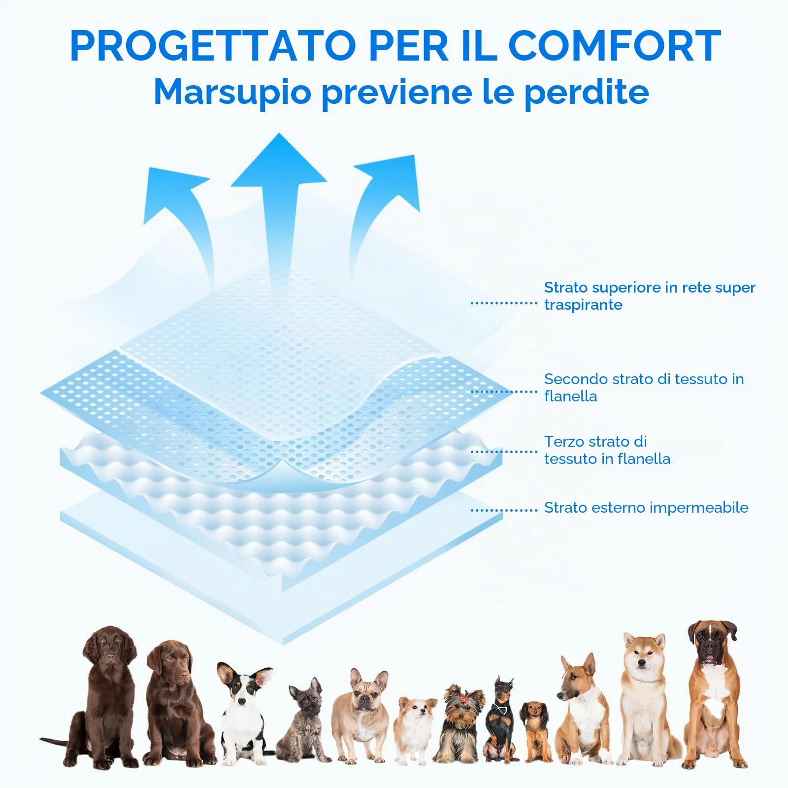 AMFUN 3 Pezzi Pannolini per Cani Cane Femmina Lavabili, Pannolini Cane Femmina Regolabile, Mutande Igieniche Animali Lavabili, Riutilizzabili, Altamente Assorbenti (M) - immagine 5