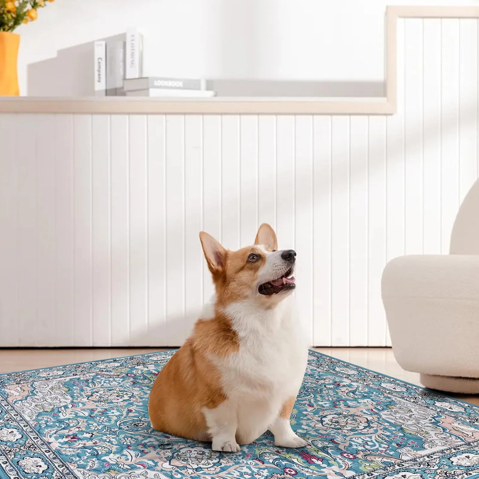 Tappetini lavabili per cani, 4 tappetini per cuccioli con feromoni,60x45cm - immagine 7