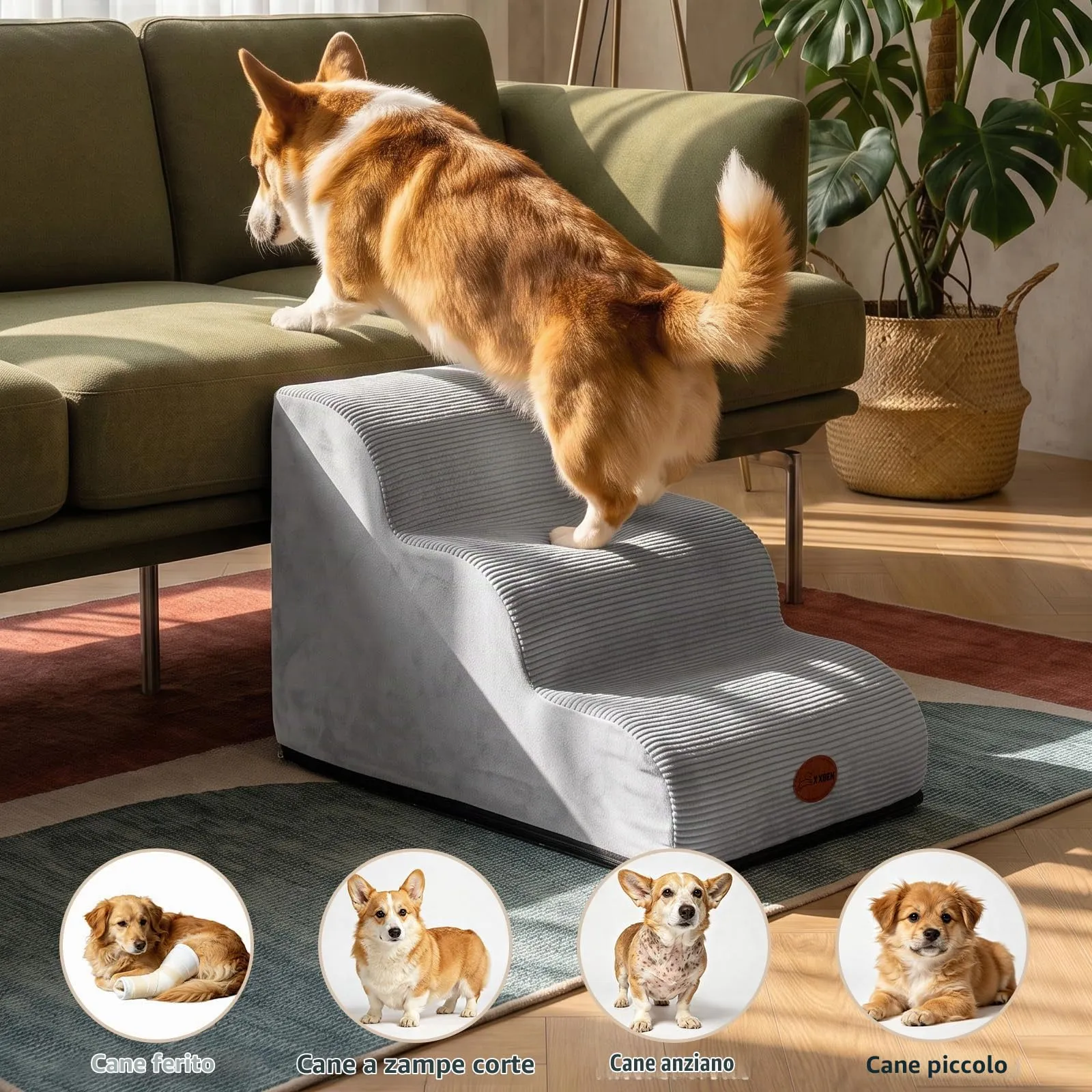 X XBEN Scala er Animali, Scale per Cani e Gatti Piccoli, Anziani e Feriti - immagine 7