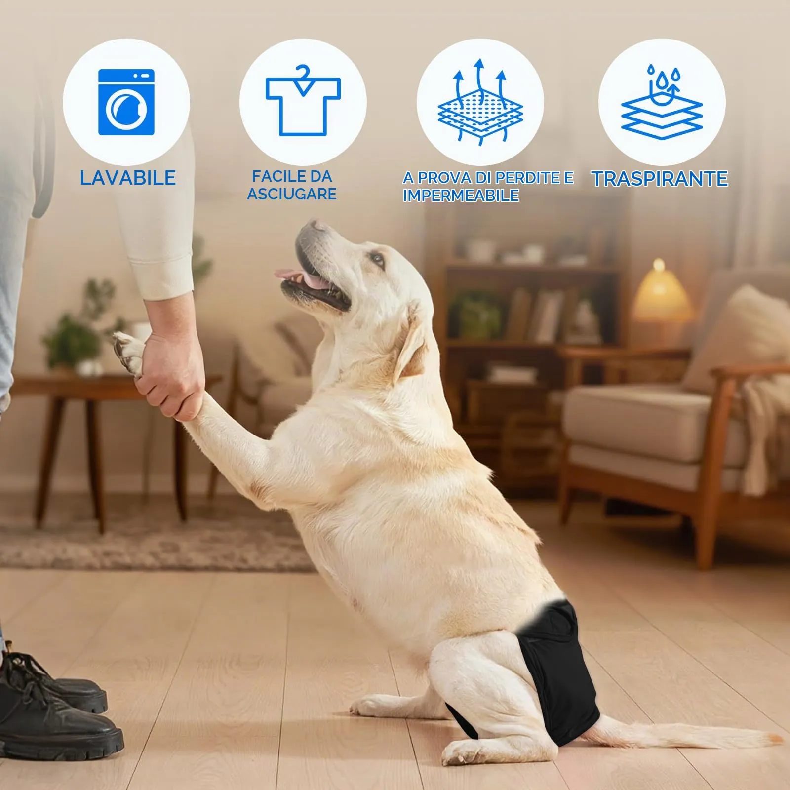 AMFUN Mutandina Igienica Doggy, 3 Pezzi Pannolini Cane Lavabili, Pannolino per cani, Mutande Igieniche Animali Lavabili, Riutilizzabili, Altamente Assorbenti (L) - immagine 5