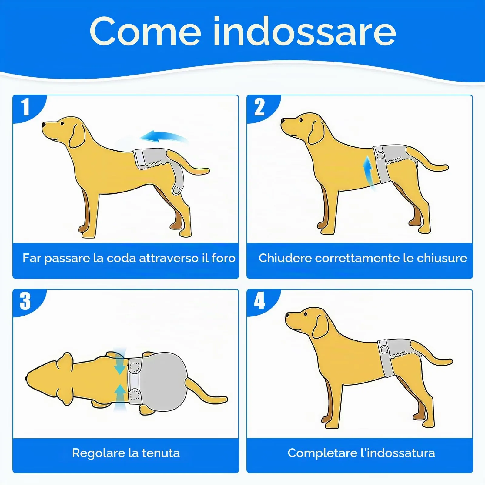 AMFUN 3 Pezzi Pannolini Cane Lavabili, Mutandina Igienica Doggy, Pannolino per cani, Mutande Igieniche Animali Lavabili, Riutilizzabili, Altamente Assorbenti (XL) - immagine 7