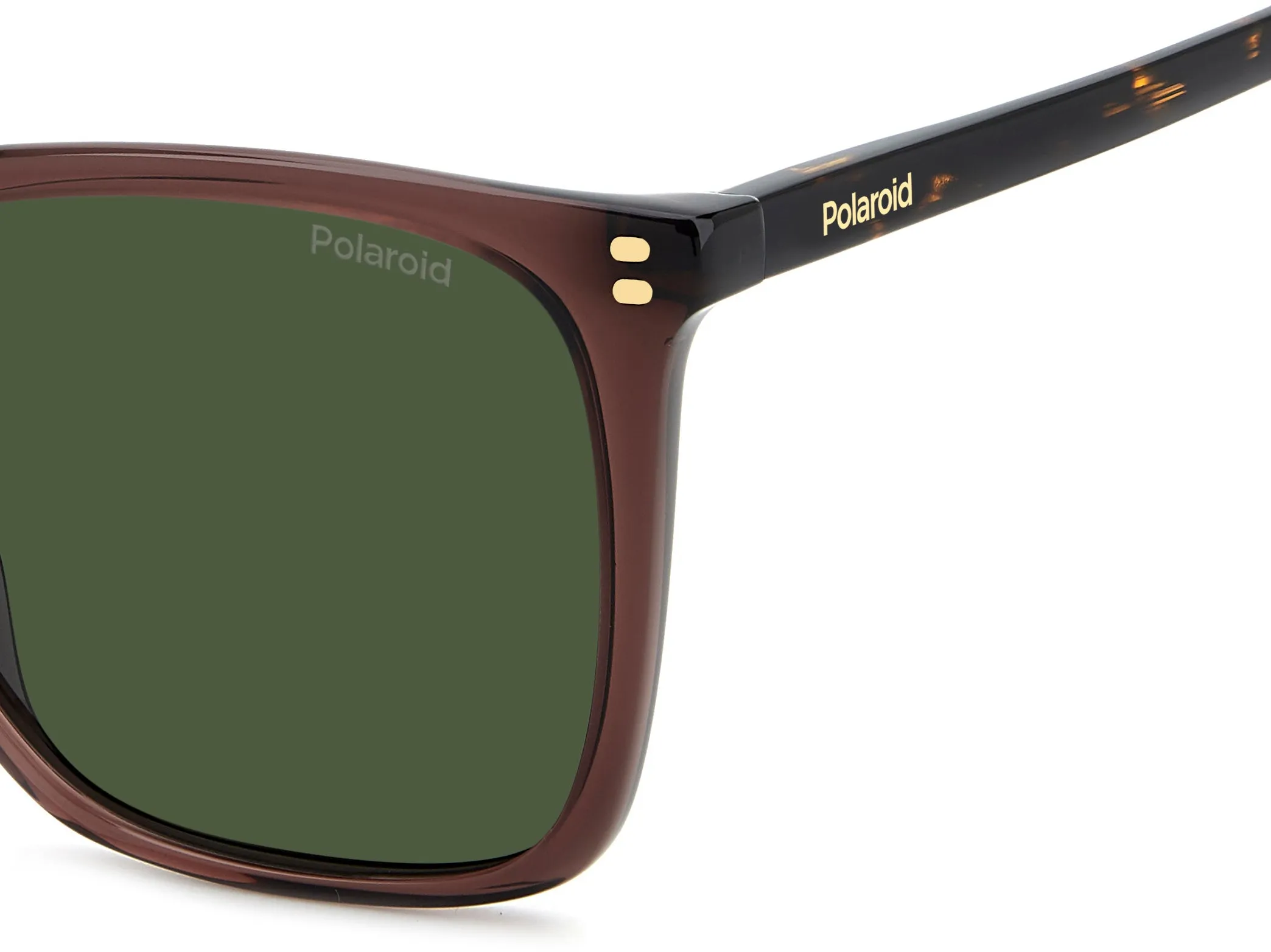 Polaroid PLD 4201/S/X 09Q/UC Occhiali da sole Acetato Marrone Verde Squadrata Polarizzata - immagine 4