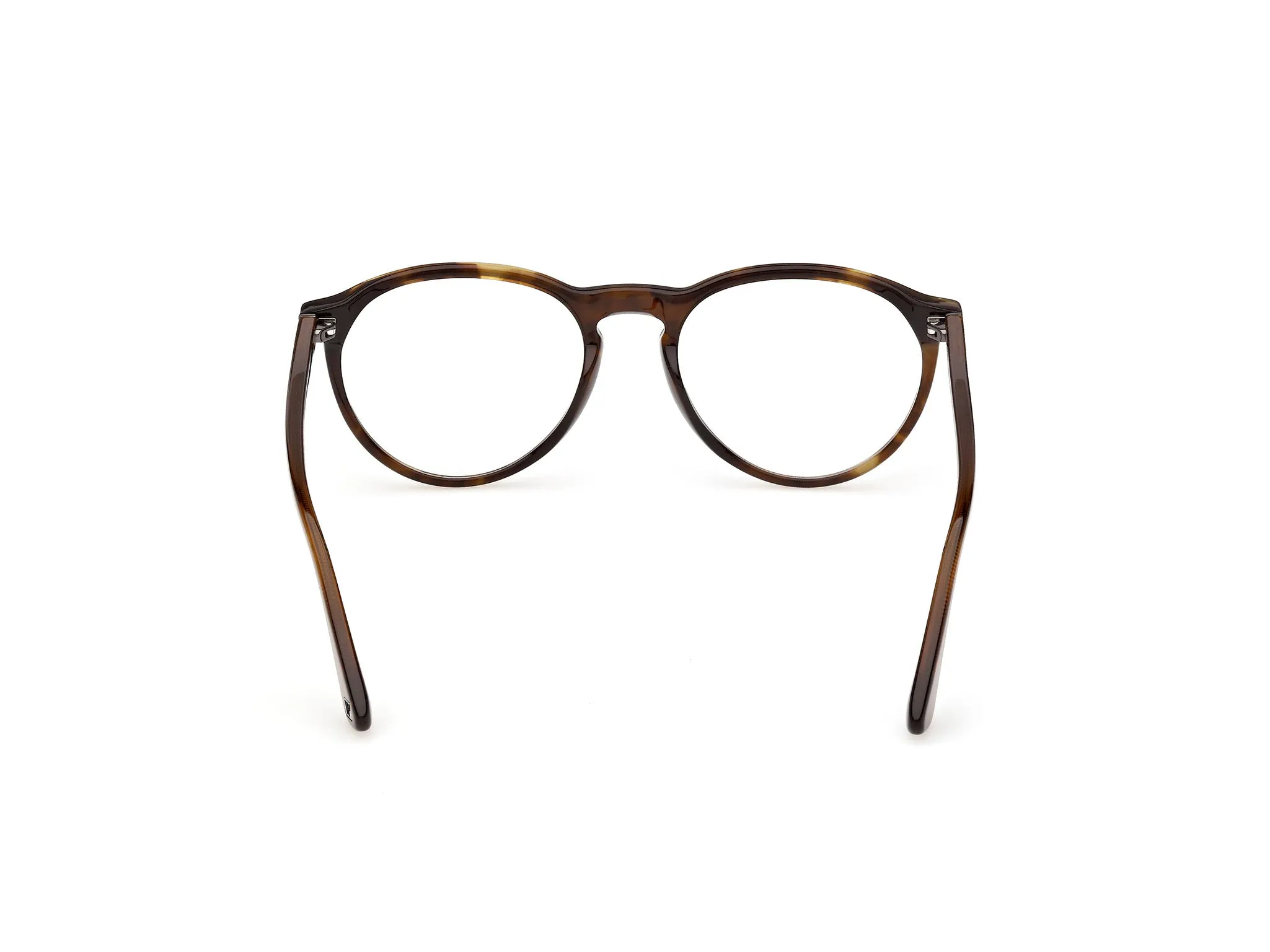 Web WE5474 056 Montature da vista Acetato Havana Rotonda Normale - immagine 4