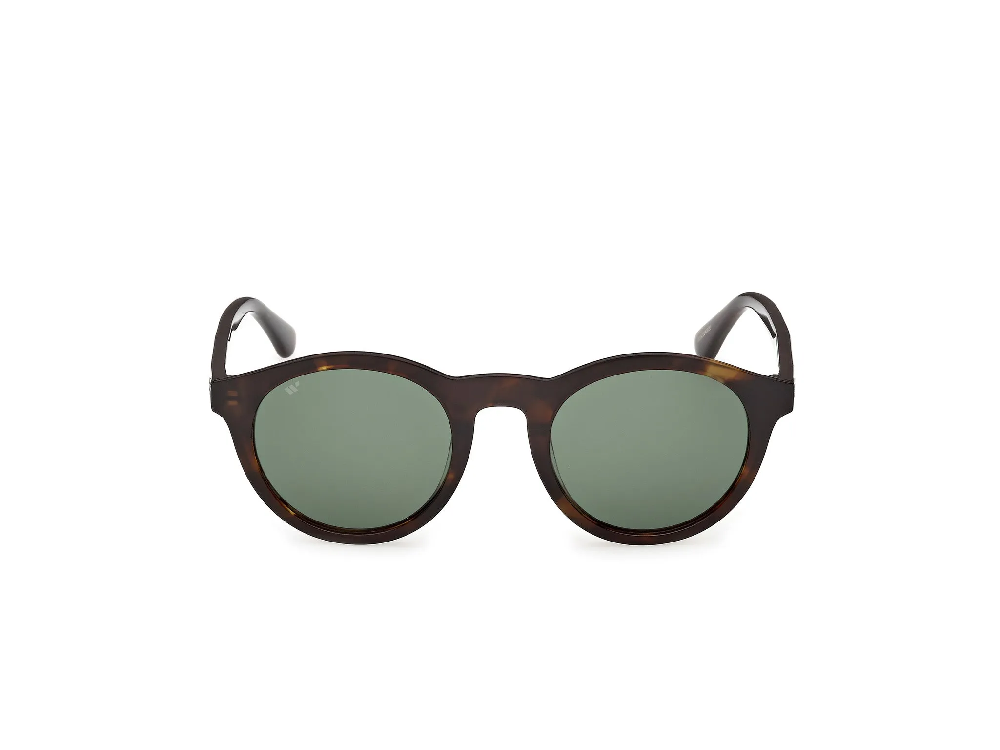 Web WE0398 52N Occhiali da sole Acetato Havana Verde Rotonda Normale - immagine 2