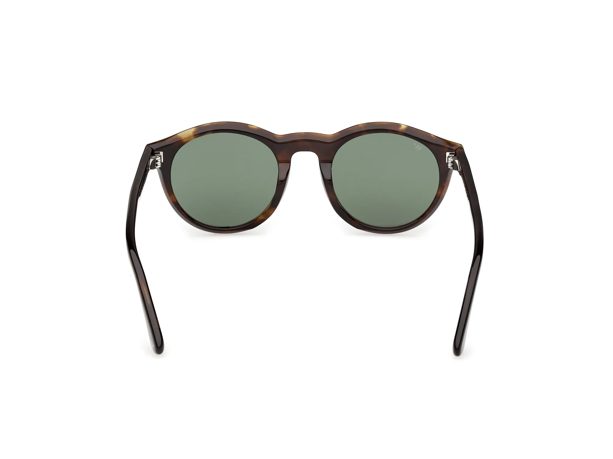 Web WE0398 52N Occhiali da sole Acetato Havana Verde Rotonda Normale - immagine 4