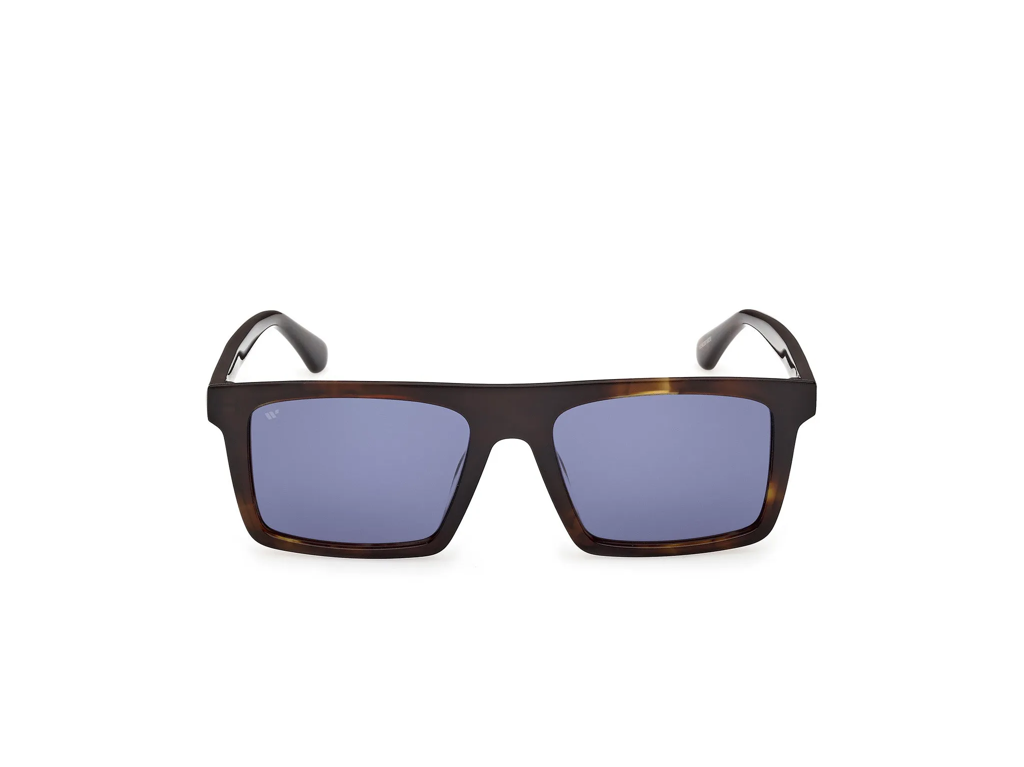 Web WE0397 52V Occhiali da sole Acetato Havana Blu Squadrata Normale - immagine 2