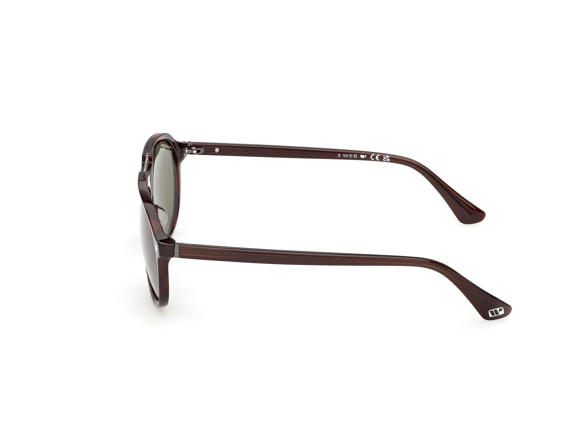Web WE0394 56N Occhiali da sole Acetato Havana Verde Pilot Normale - immagine 3