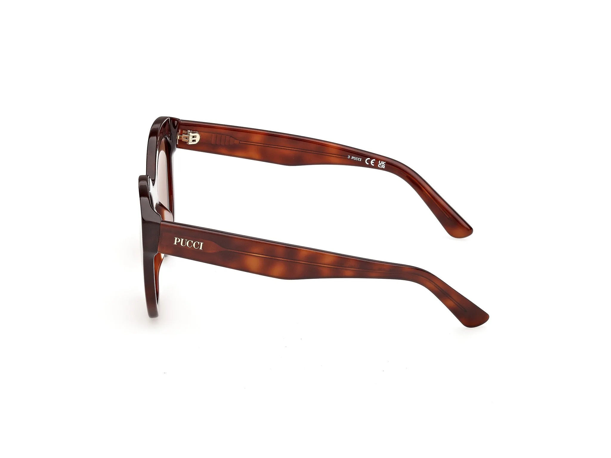 Emilio Pucci EP0254 53E Occhiali da sole Acetato Havana Marrone Geometrica Normale - immagine 3