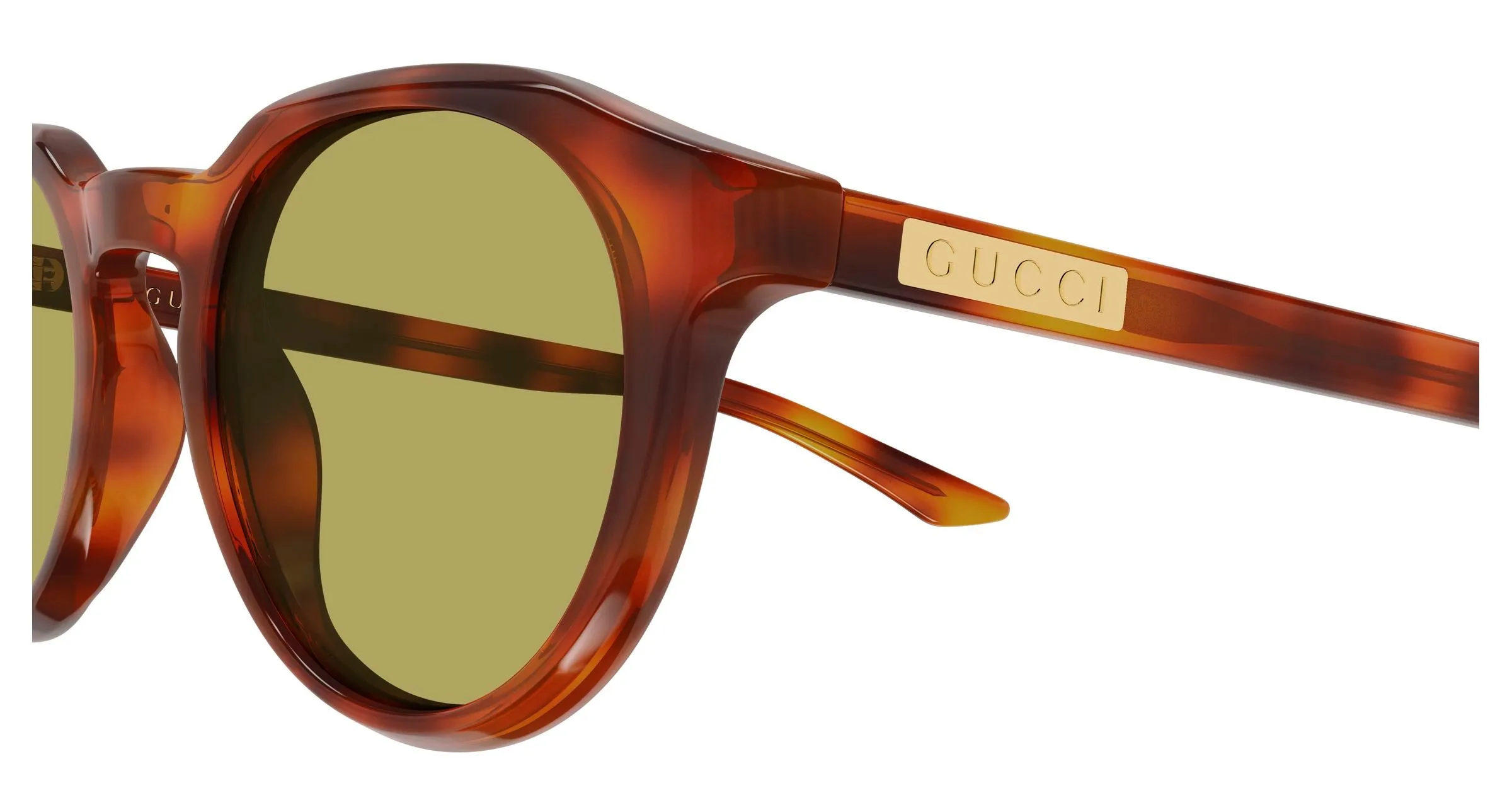 Gucci GG2079S 005 Occhiali da sole Acetato Havana Verde Rotonda - immagine 3