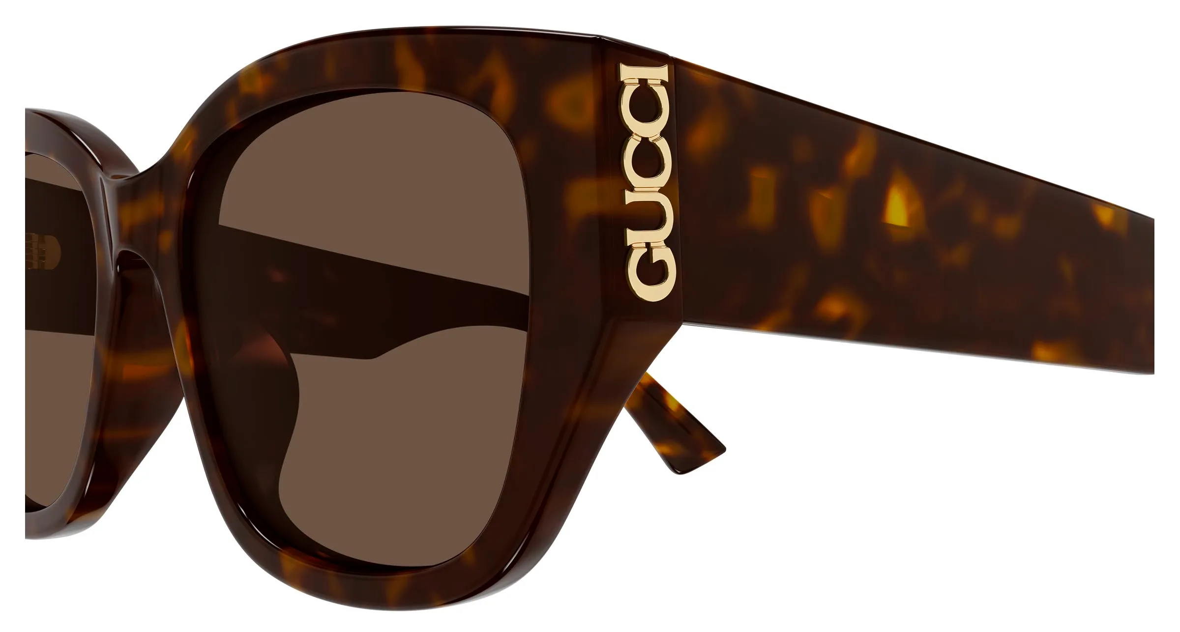 Gucci GG2043SA 002 Occhiali da sole Acetato Havana Marrone Rotonda - immagine 3
