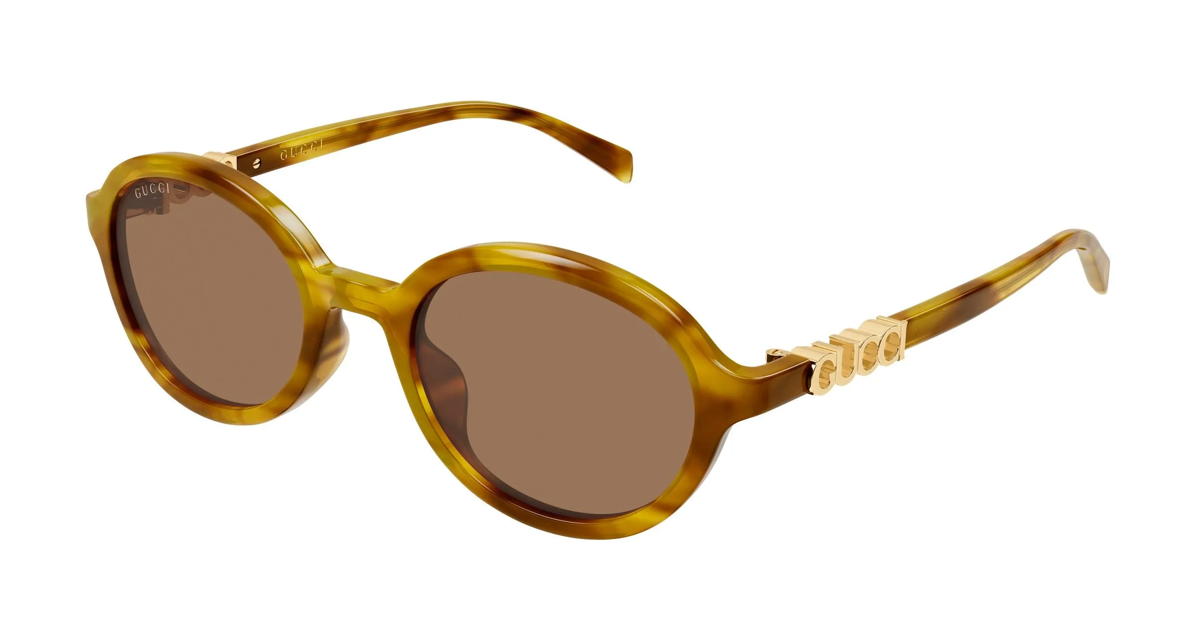Gucci GG2033SA 003 Occhiali da sole Acetato Havana Marrone Rotonda - immagine 1