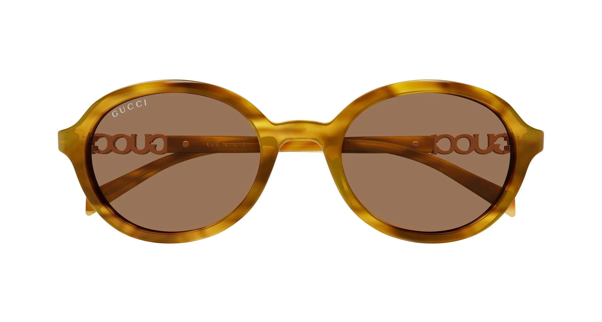 Gucci GG2033SA 003 Occhiali da sole Acetato Havana Marrone Rotonda - immagine 2