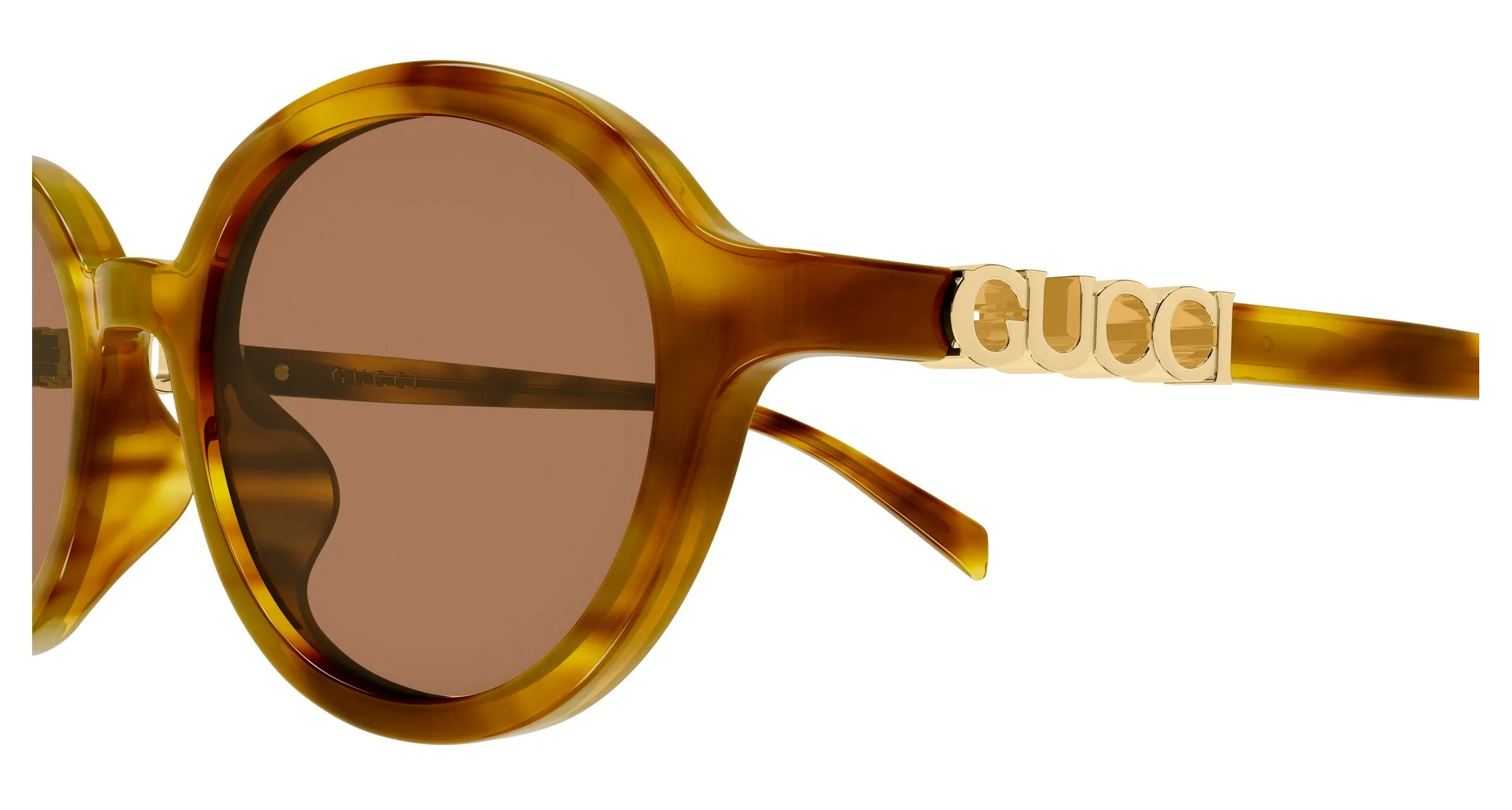 Gucci GG2033SA 003 Occhiali da sole Acetato Havana Marrone Rotonda - immagine 3