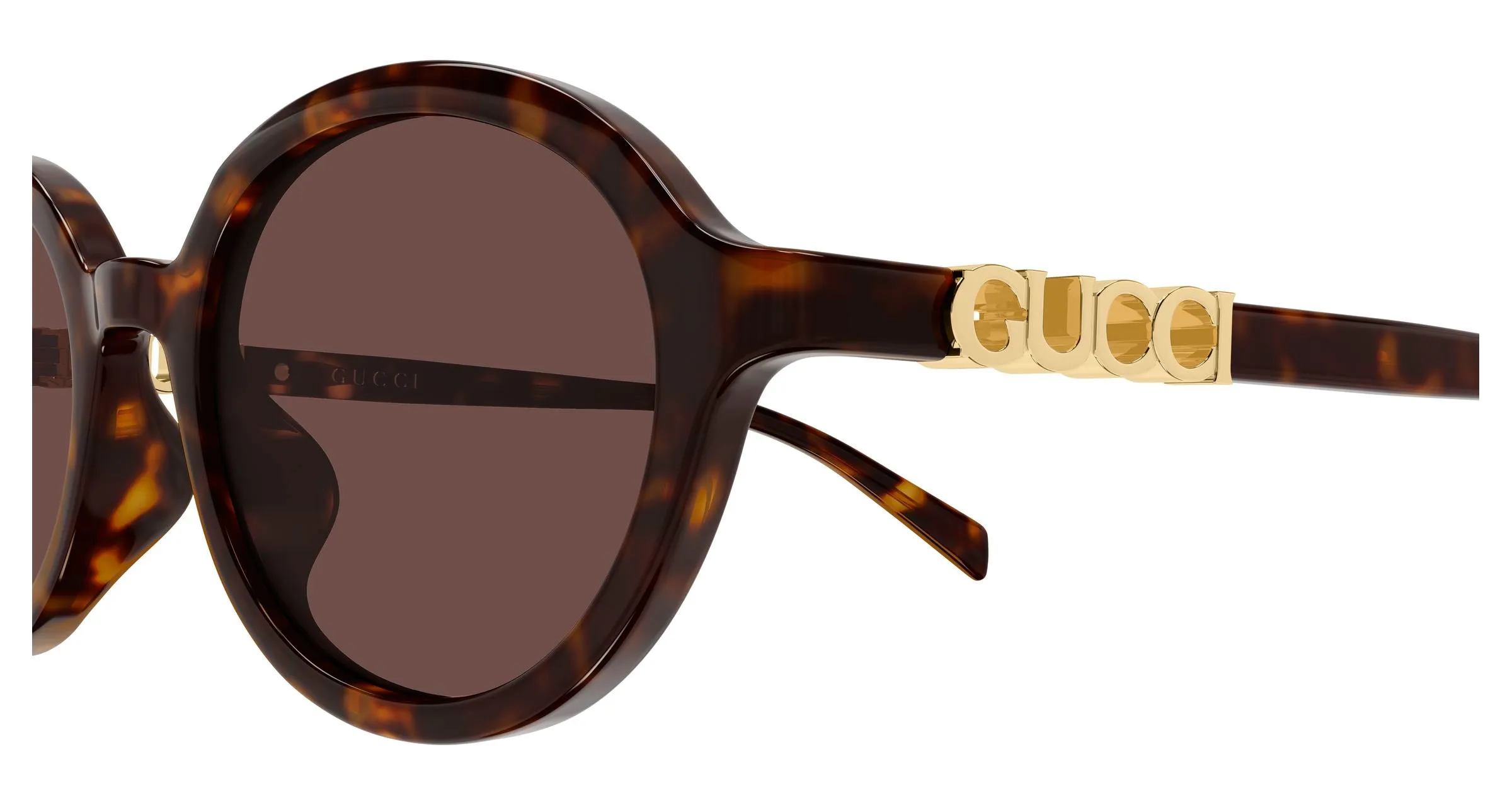 Gucci GG2033SA 002 Occhiali da sole Acetato Havana Marrone Rotonda - immagine 3