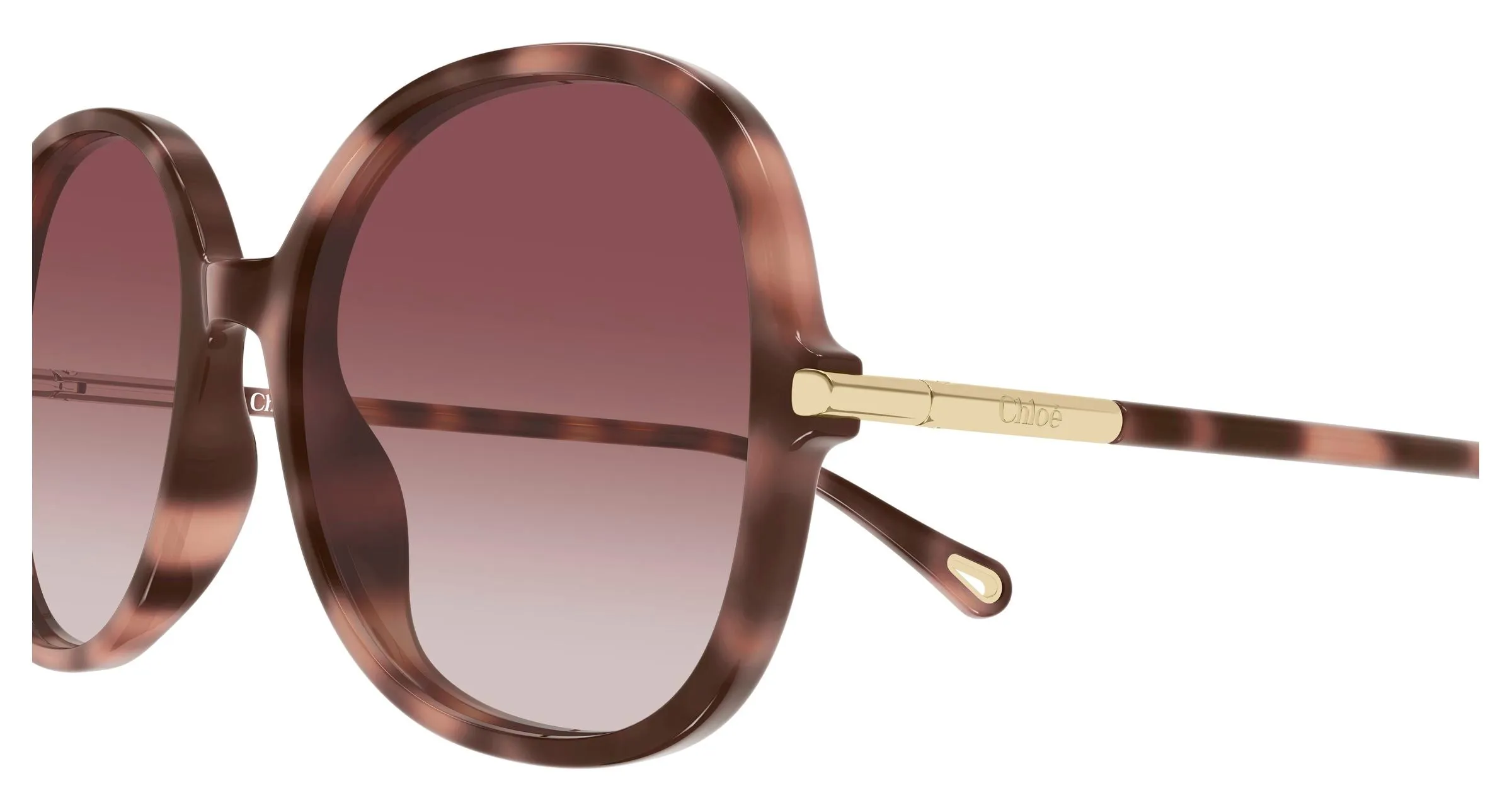 Chloé CH0383S 004 Occhiali da sole Acetato Havana Rosso Rotonda - immagine 3