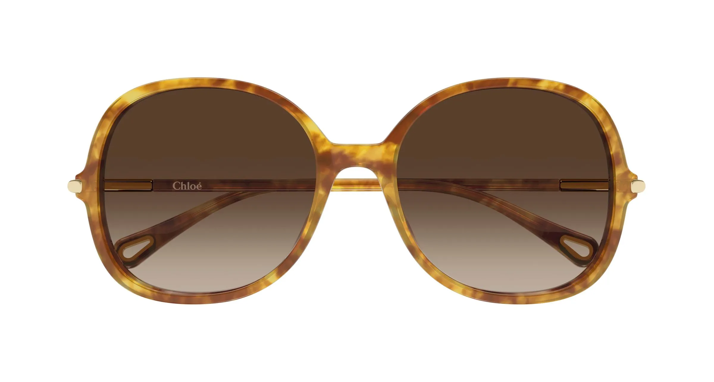 Chloé CH0383S 002 Occhiali da sole Acetato Havana Marrone Rotonda - immagine 2