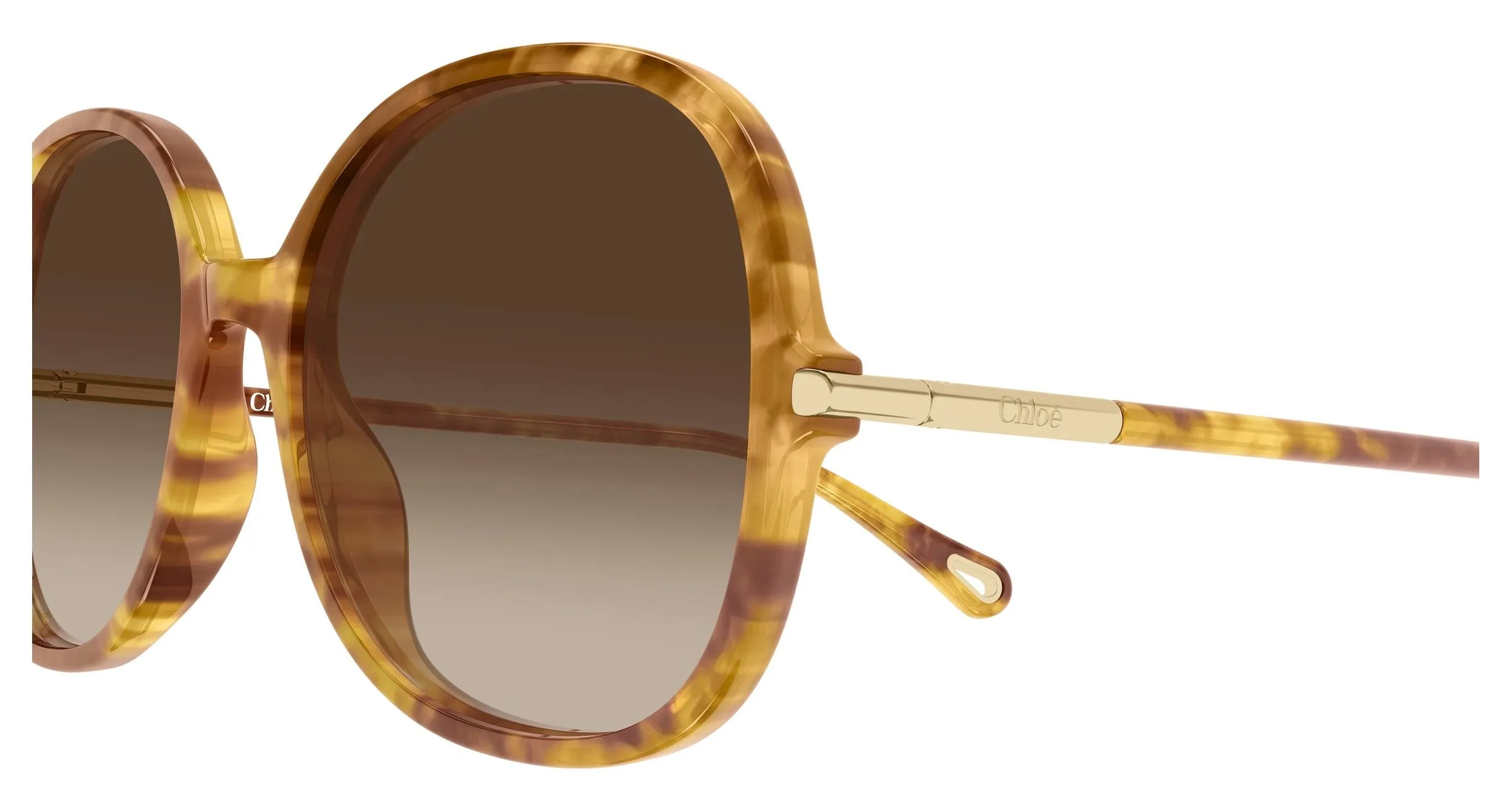 Chloé CH0383S 002 Occhiali da sole Acetato Havana Marrone Rotonda - immagine 3