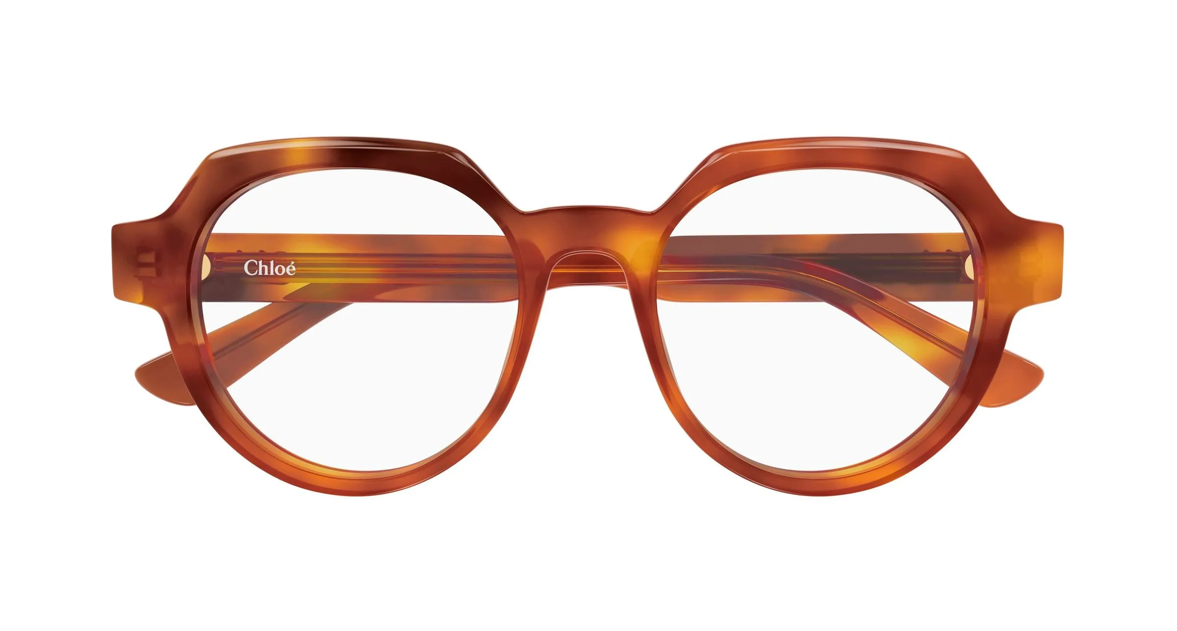 Chloé CH0379O 002 Montature da vista Acetato Havana Trasparente Geometrica - immagine 2