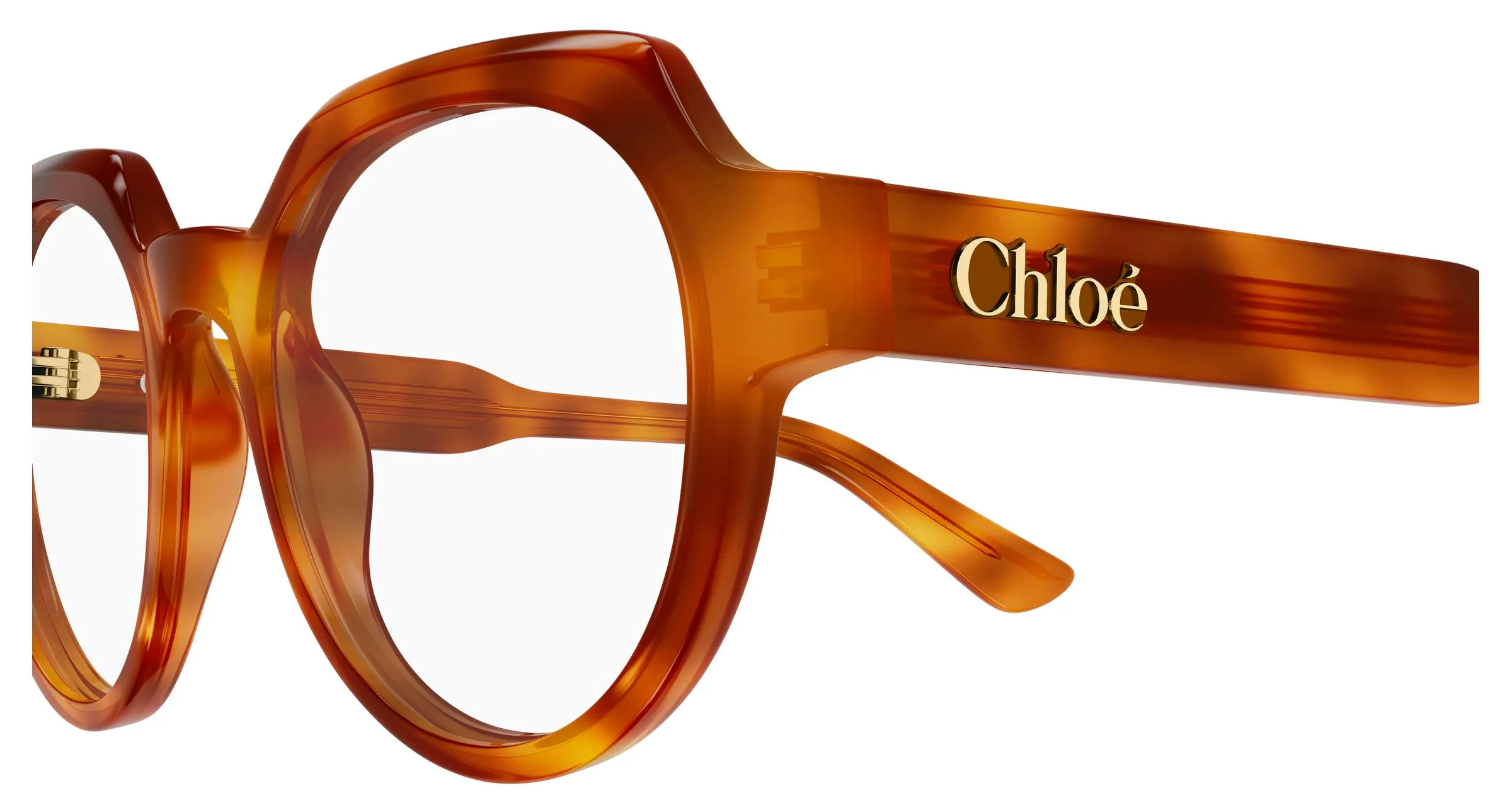 Chloé CH0379O 002 Montature da vista Acetato Havana Trasparente Geometrica - immagine 3