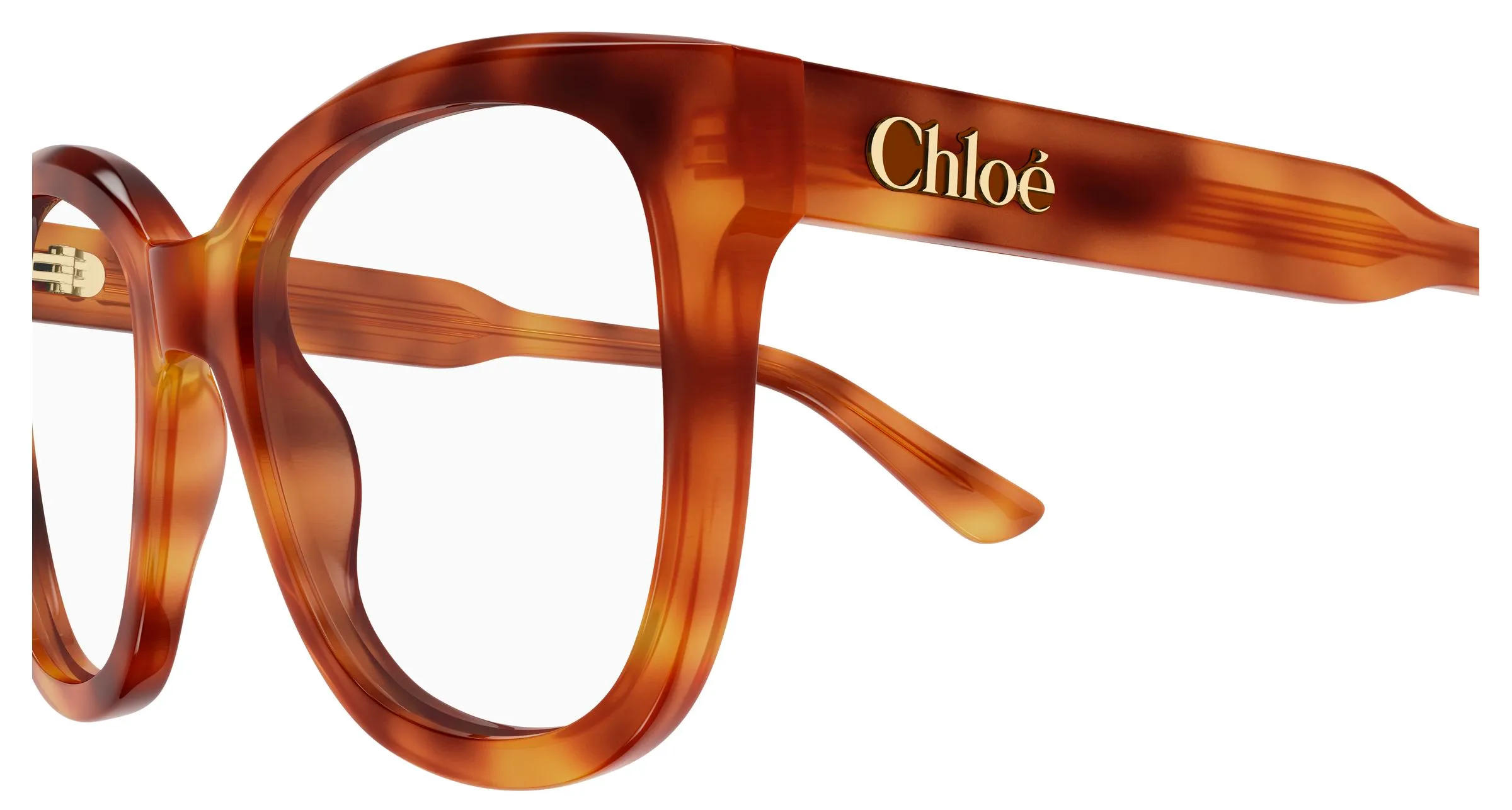 Chloé CH0378O 002 Montature da vista Acetato Havana Trasparente Squadrata - immagine 3