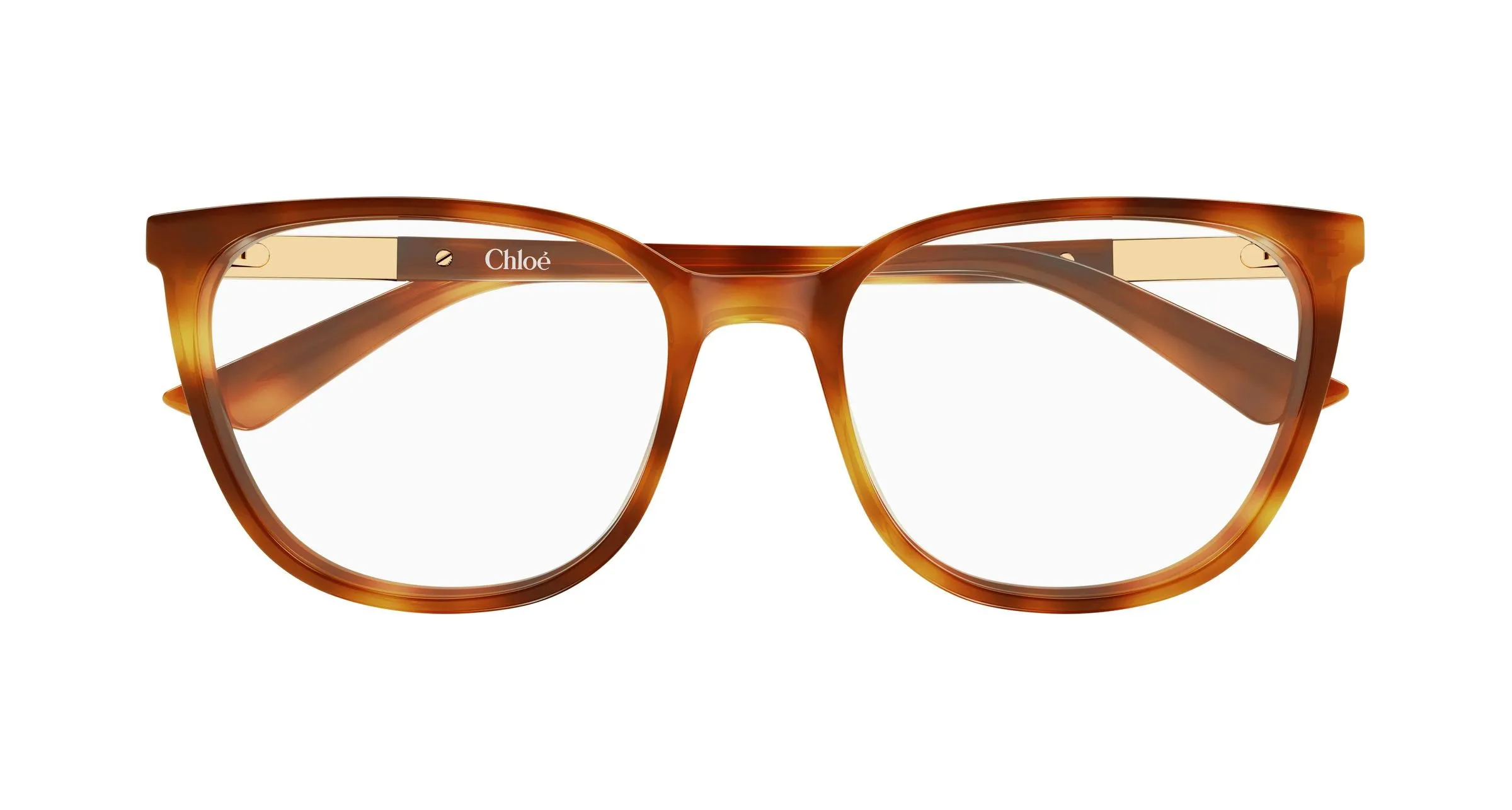 Chloé CH0370OL 007 Montature da vista Acetato Havana Trasparente Cat Eye - immagine 2