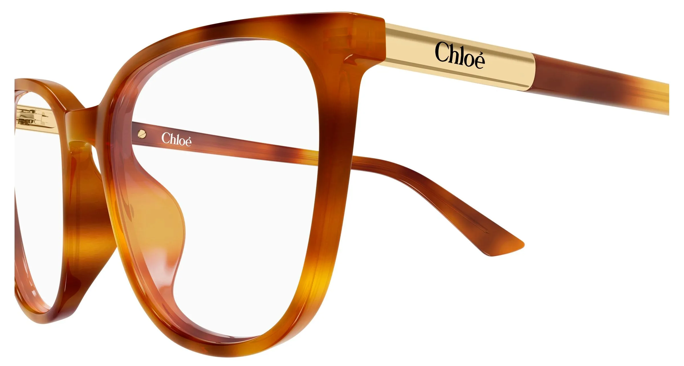 Chloé CH0370OL 007 Montature da vista Acetato Havana Trasparente Cat Eye - immagine 3