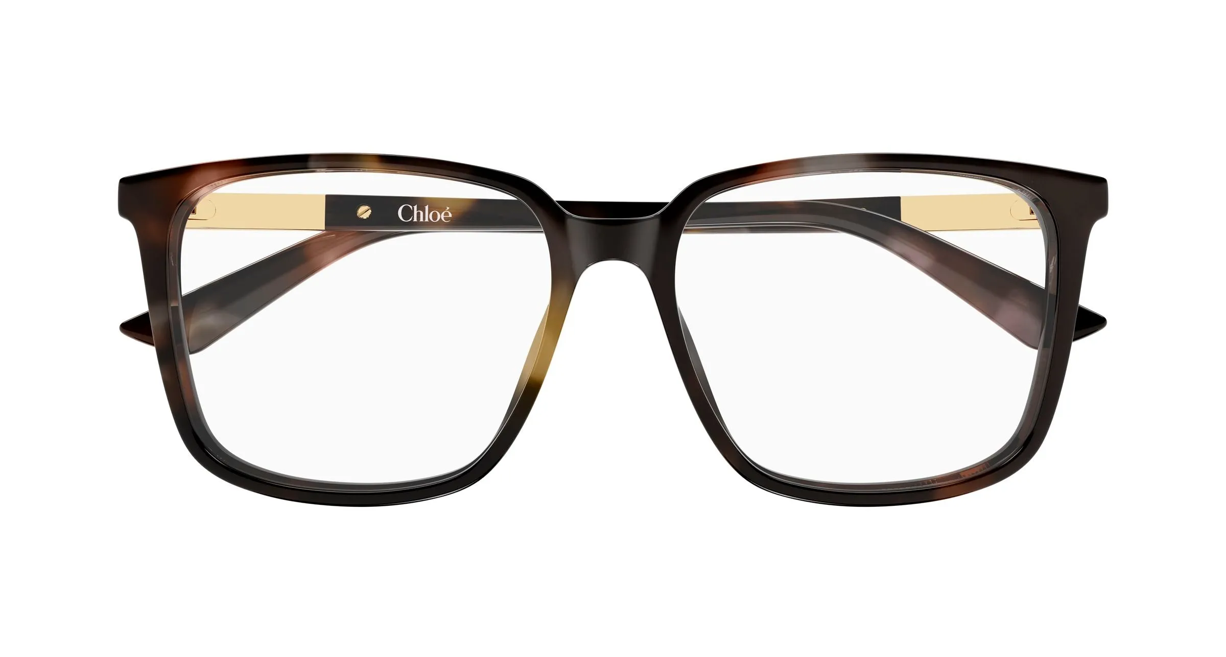 Chloé CH0369O 003 Montature da vista Acetato Havana Trasparente Squadrata - immagine 2