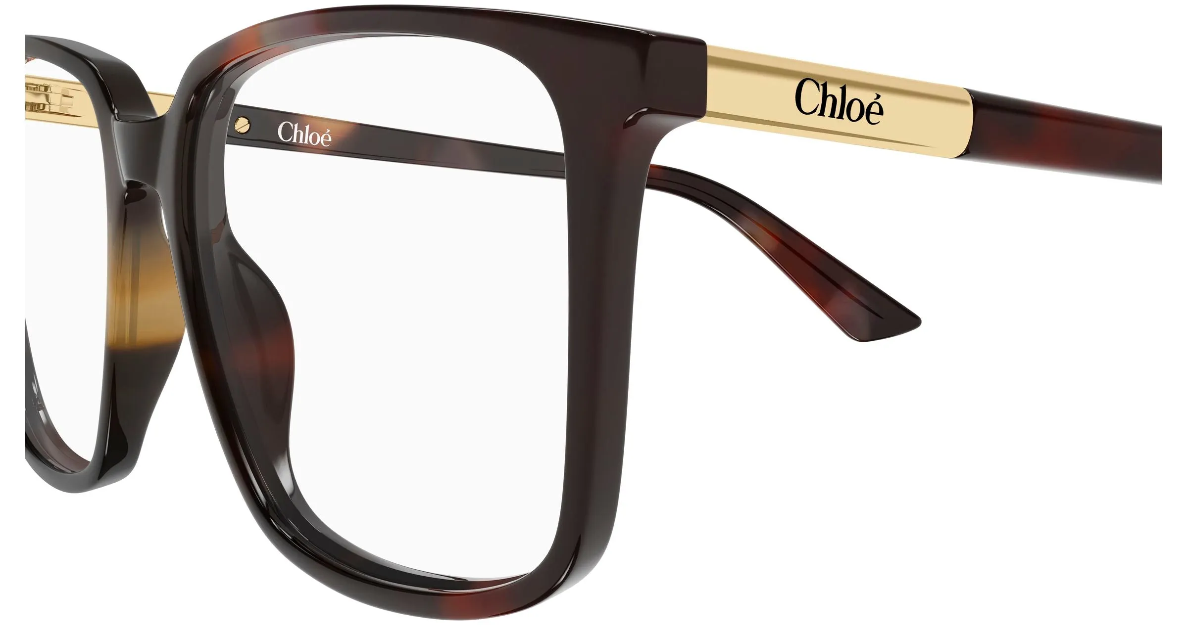 Chloé CH0369O 003 Montature da vista Acetato Havana Trasparente Squadrata - immagine 3