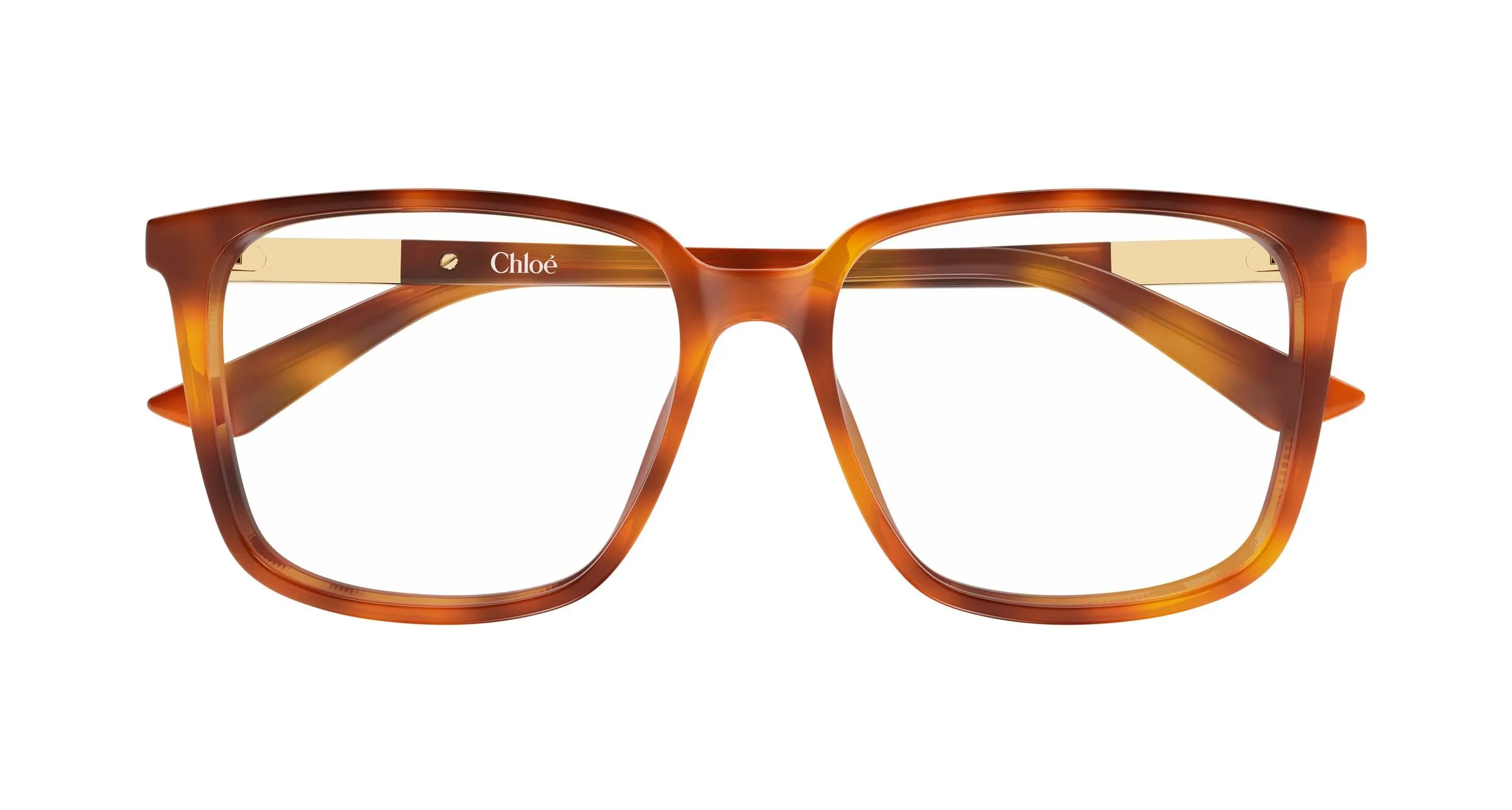 Chloé CH0369O 002 Montature da vista Acetato Havana Trasparente Squadrata - immagine 2