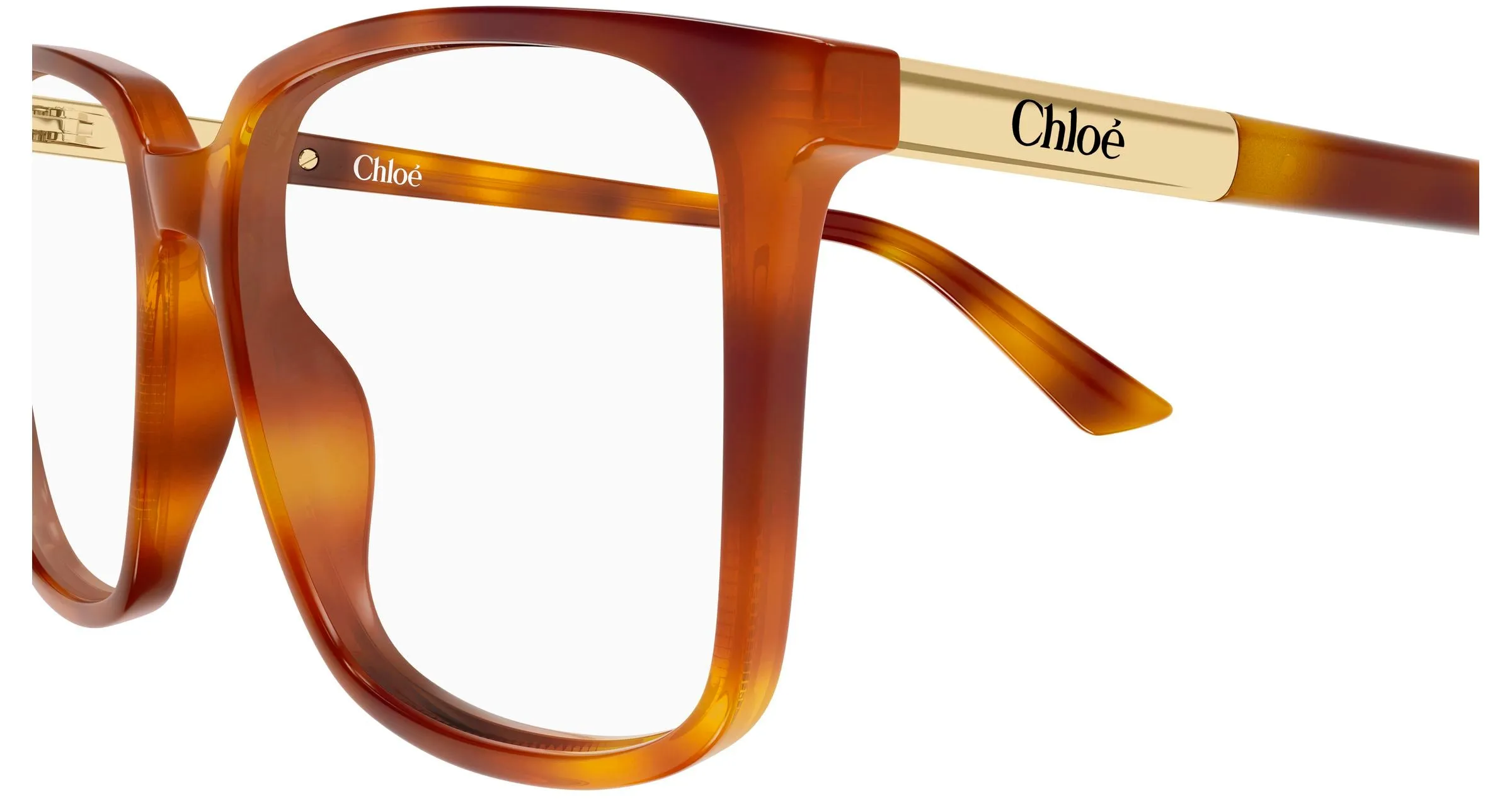 Chloé CH0369O 002 Montature da vista Acetato Havana Trasparente Squadrata - immagine 3