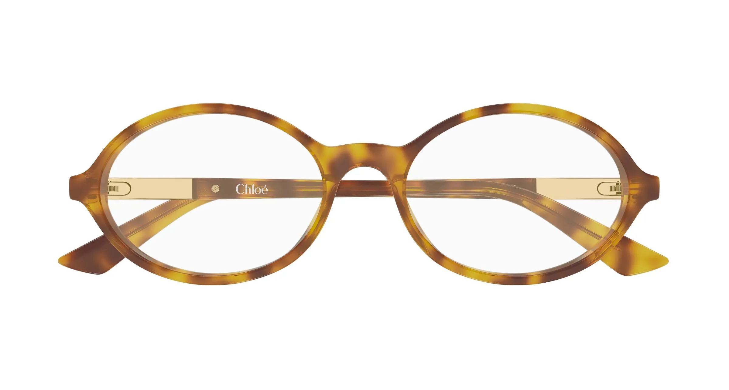 Chloé CH0367O 003 Montature da vista Acetato Havana Trasparente Rotonda - immagine 2