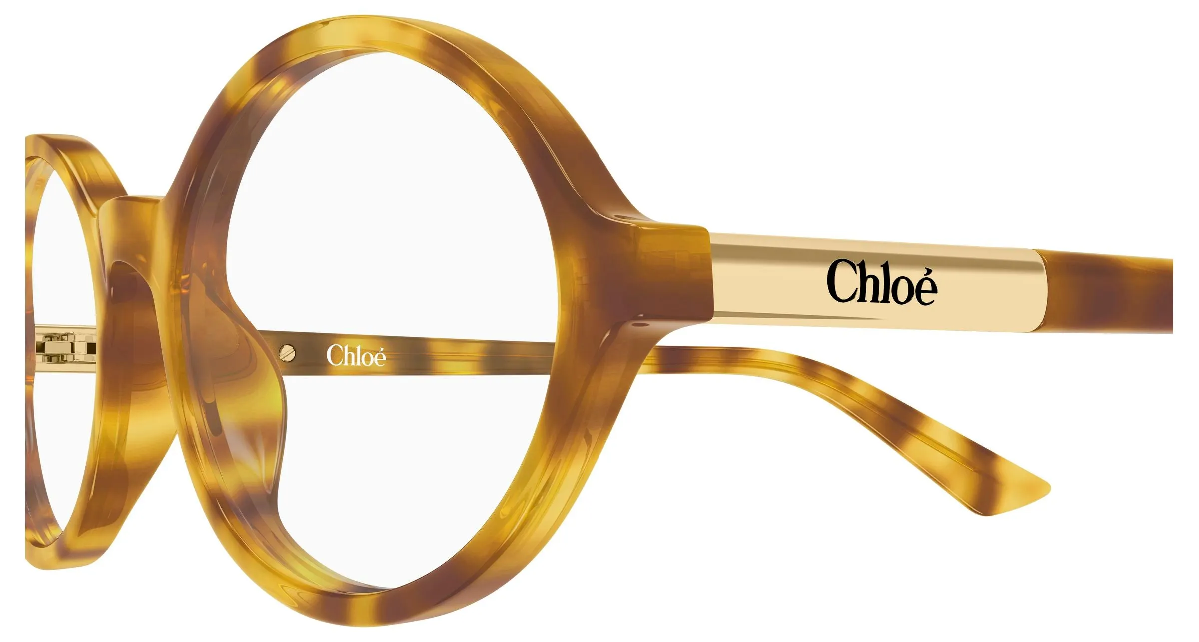 Chloé CH0367O 003 Montature da vista Acetato Havana Trasparente Rotonda - immagine 3