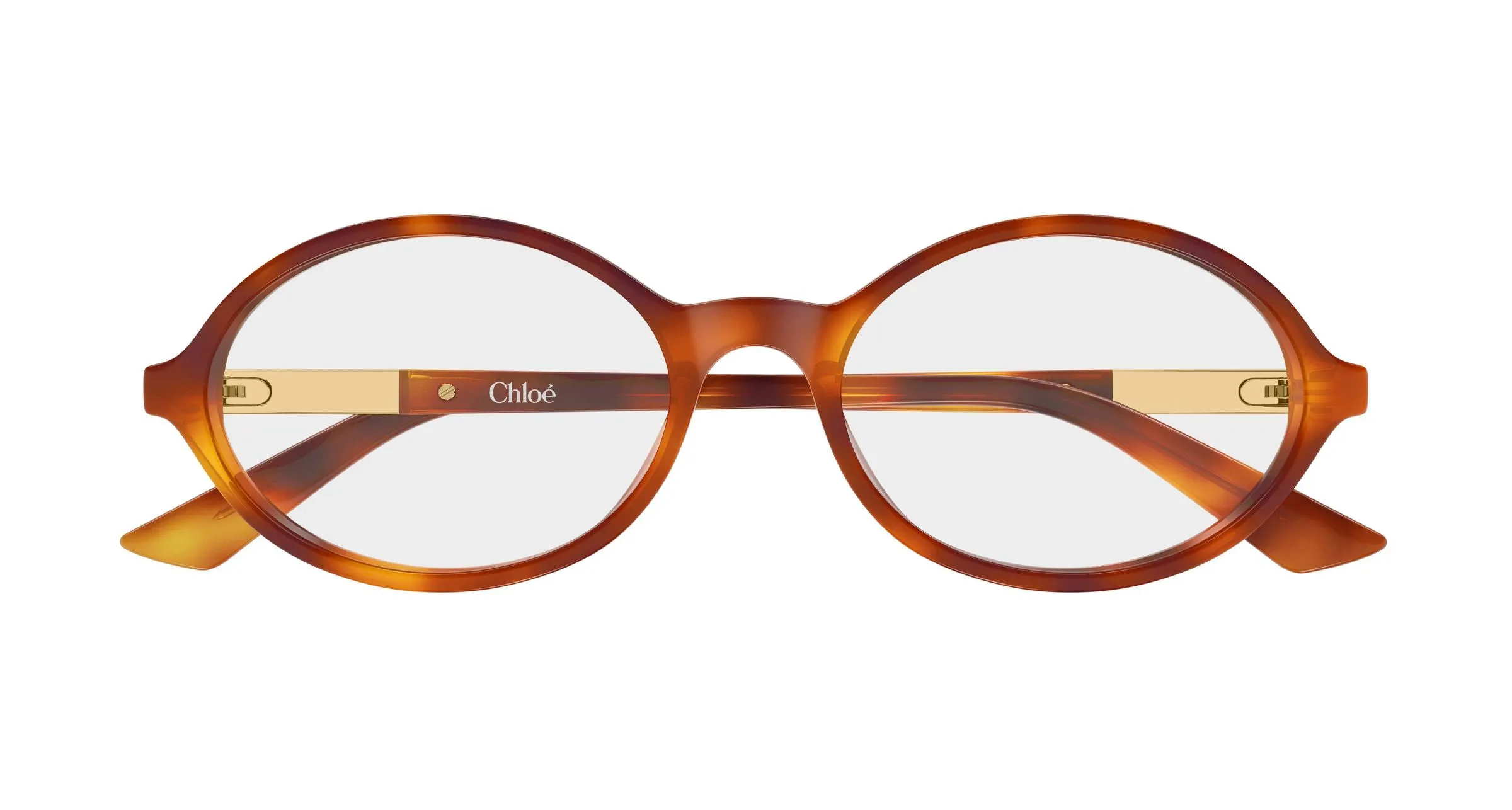 Chloé CH0367O 002 Montature da vista Acetato Havana Trasparente Rotonda - immagine 2