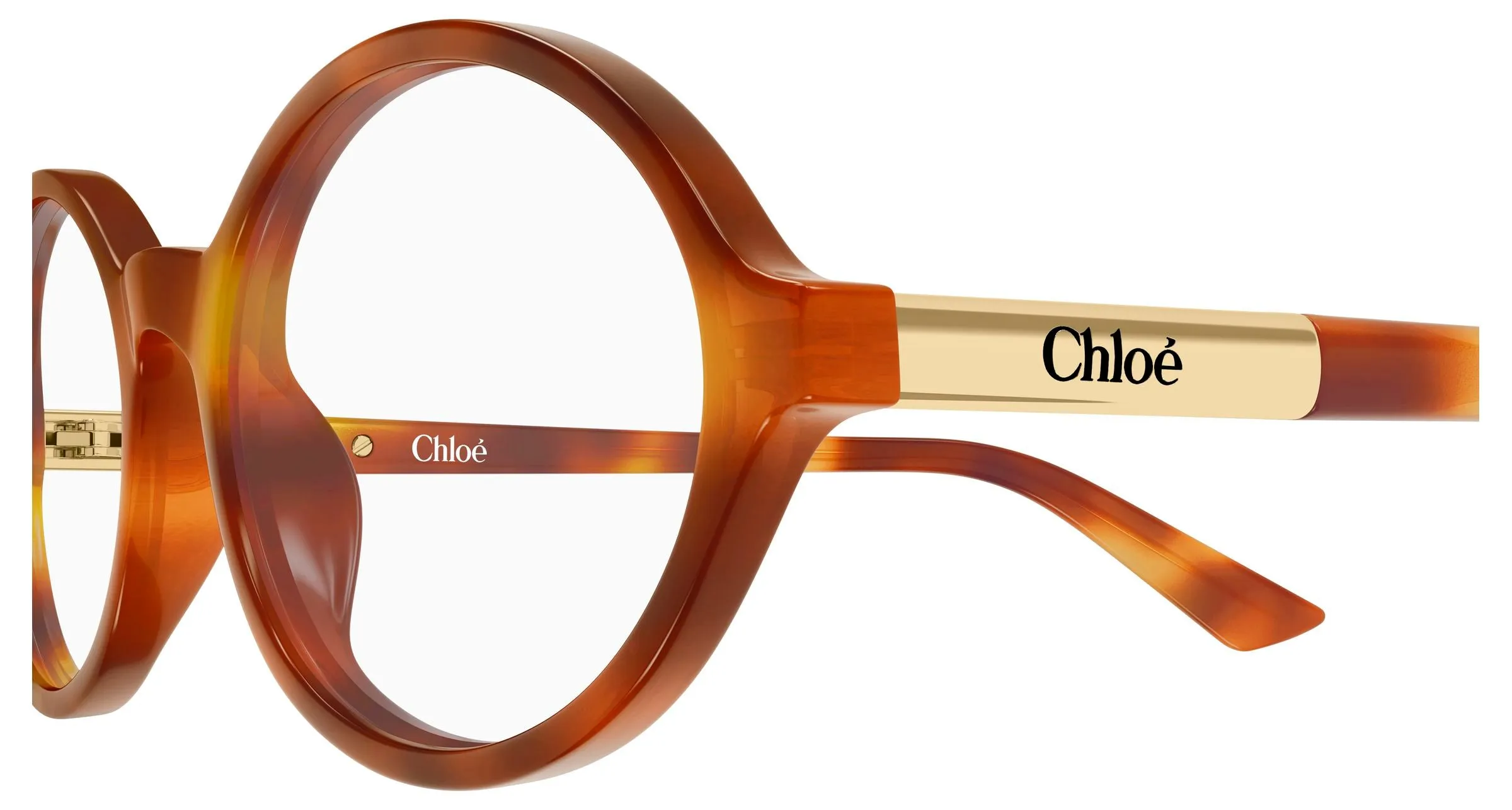 Chloé CH0367O 002 Montature da vista Acetato Havana Trasparente Rotonda - immagine 3