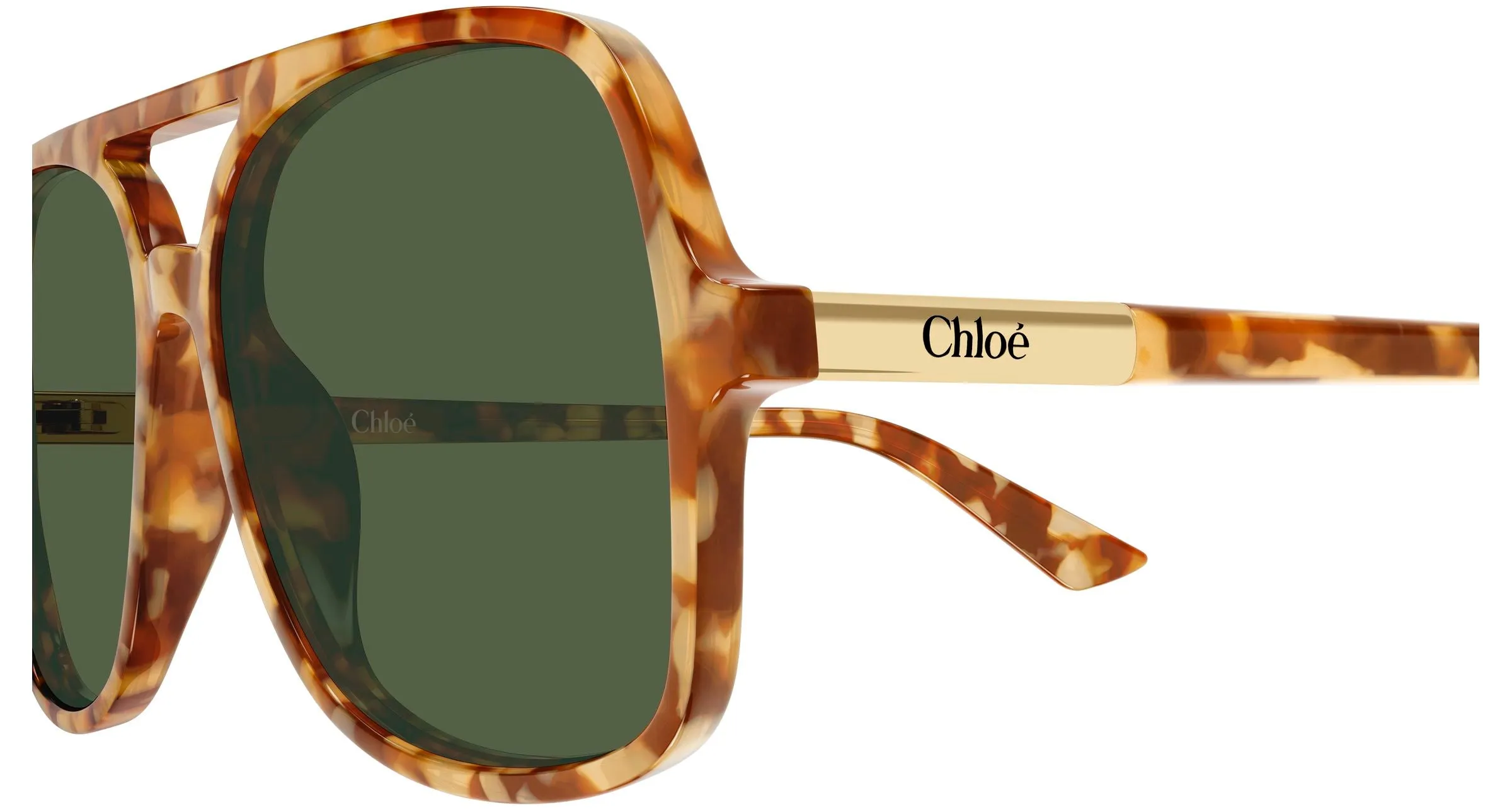 Chloé CH0364S 003 Occhiali da sole Acetato Havana Verde Pilot - immagine 3