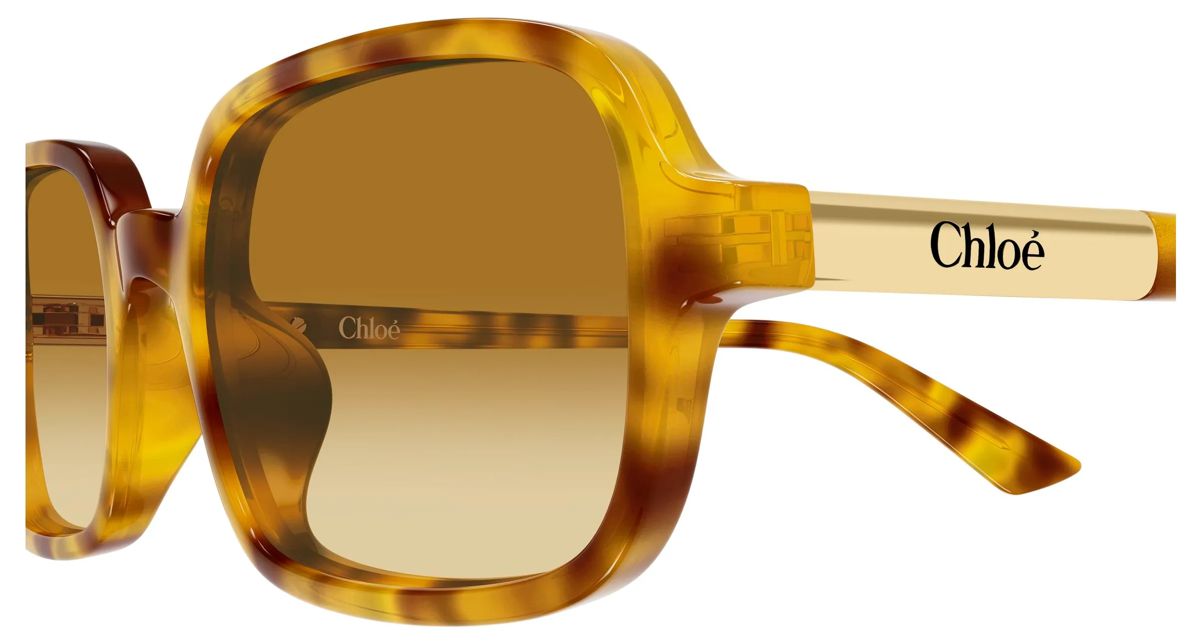 Chloé CH0363S 004 Occhiali da sole Acetato Havana Marrone Squadrata - immagine 3