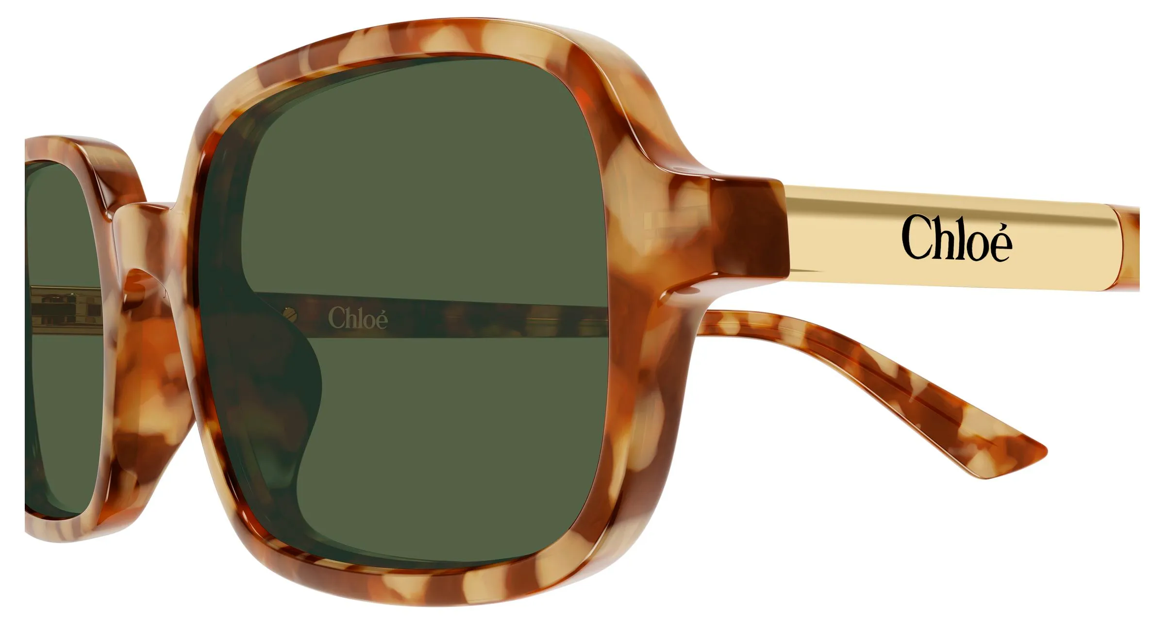 Chloé CH0363S 003 Occhiali da sole Acetato Havana Verde Squadrata - immagine 3