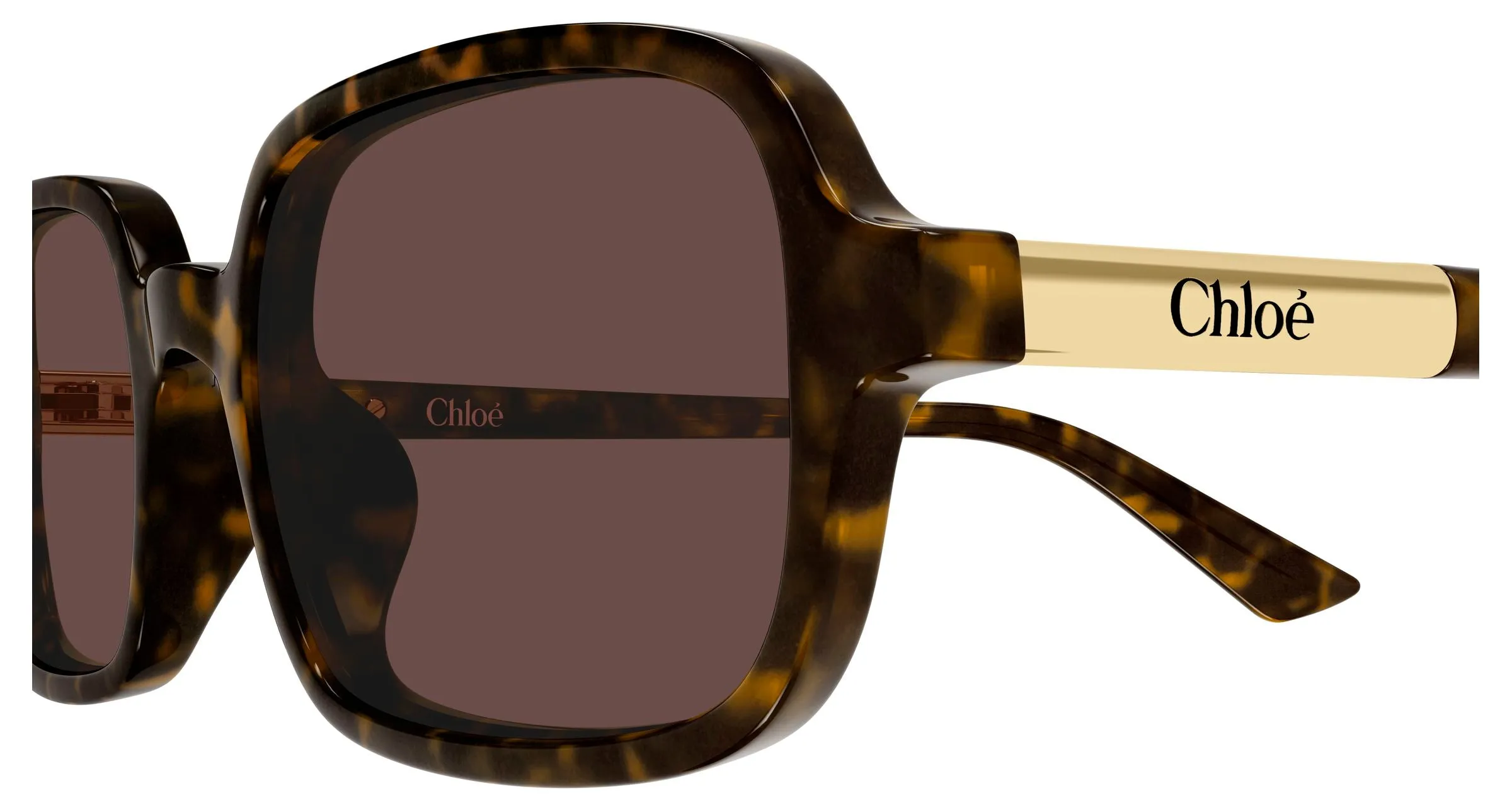 Chloé CH0363S 002 Occhiali da sole Acetato Havana Marrone Squadrata - immagine 3