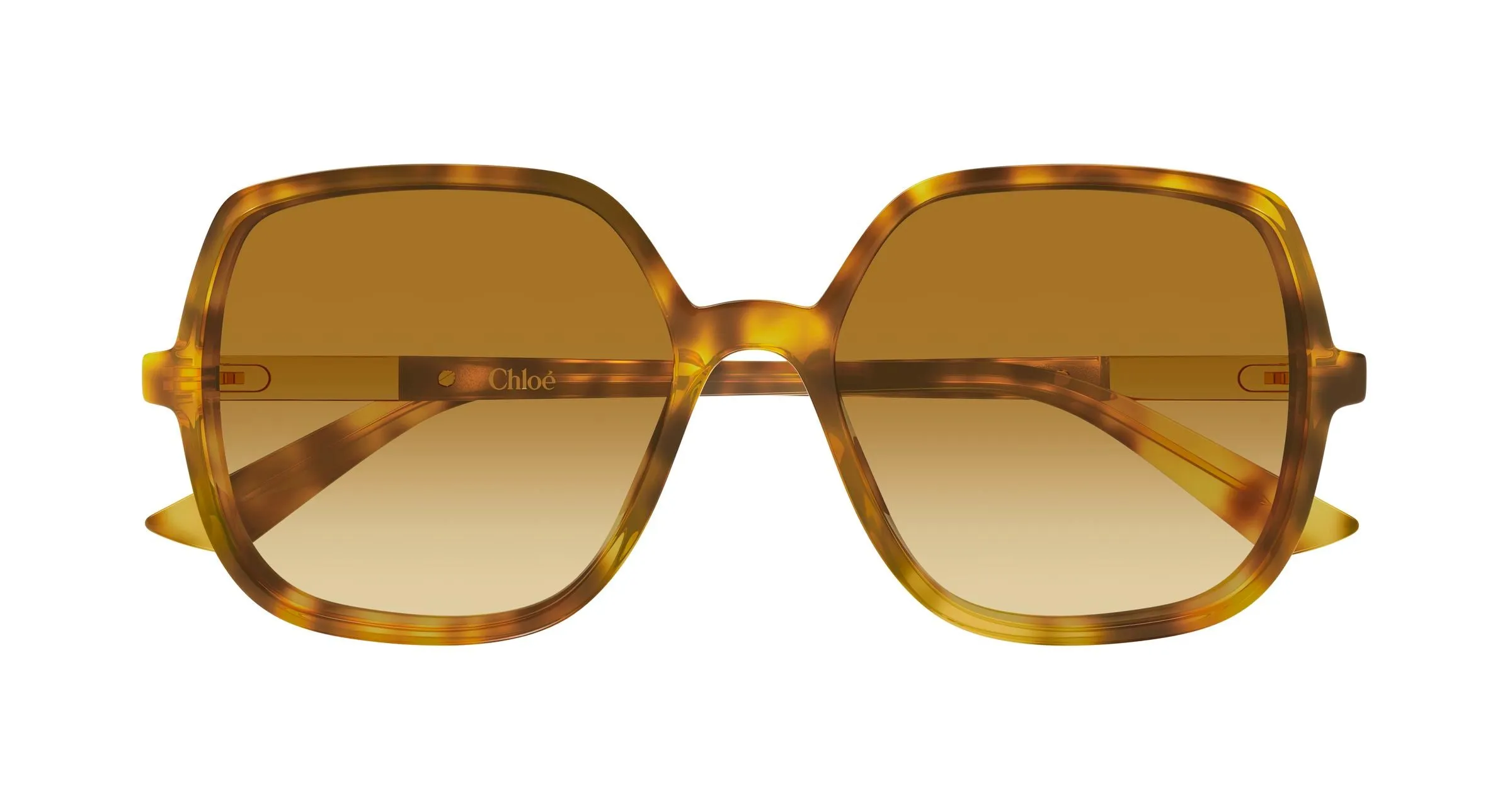 Chloé CH0362S 004 Occhiali da sole Acetato Havana Marrone Geometrica - immagine 2