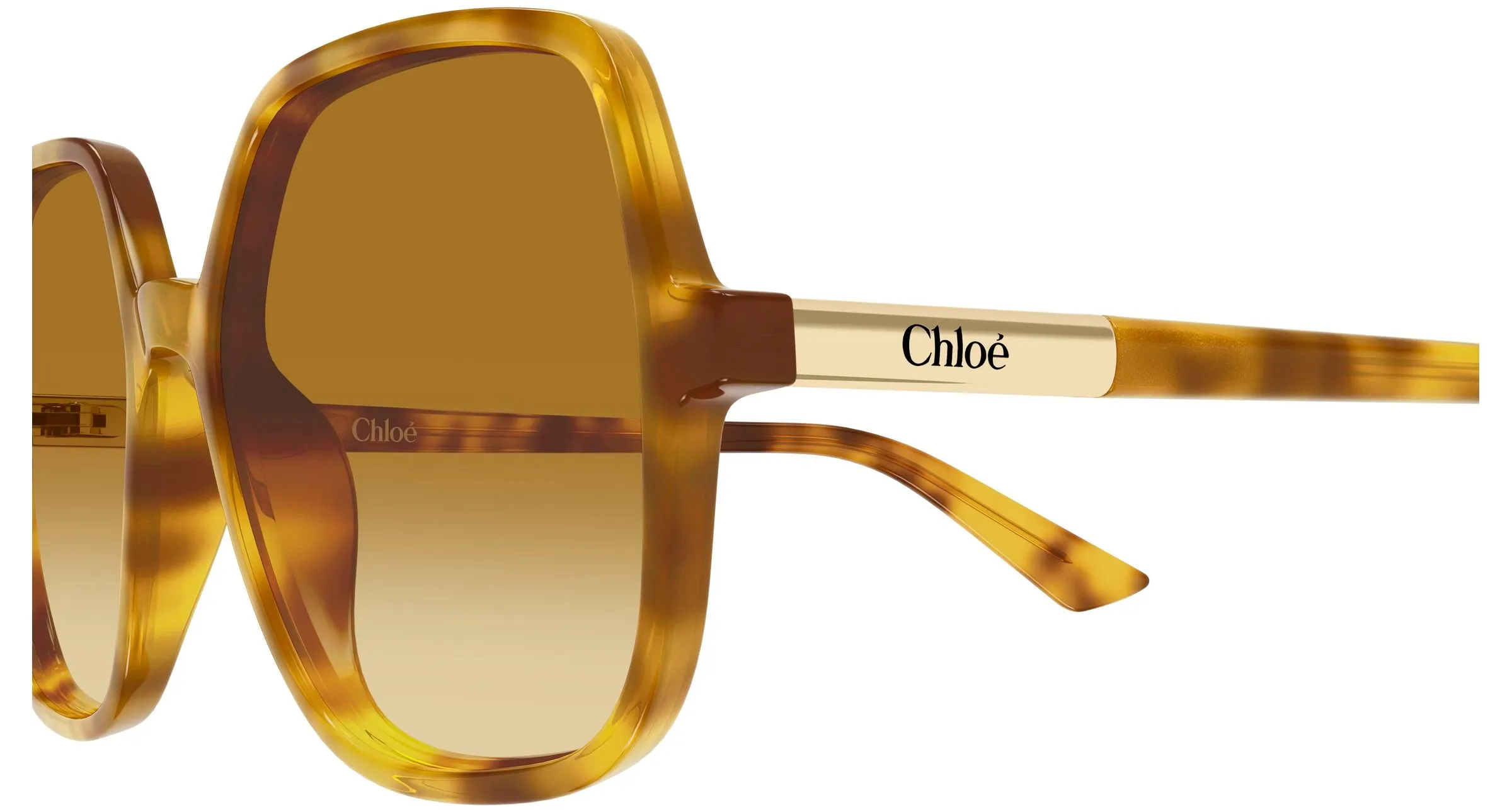 Chloé CH0362S 004 Occhiali da sole Acetato Havana Marrone Geometrica - immagine 3